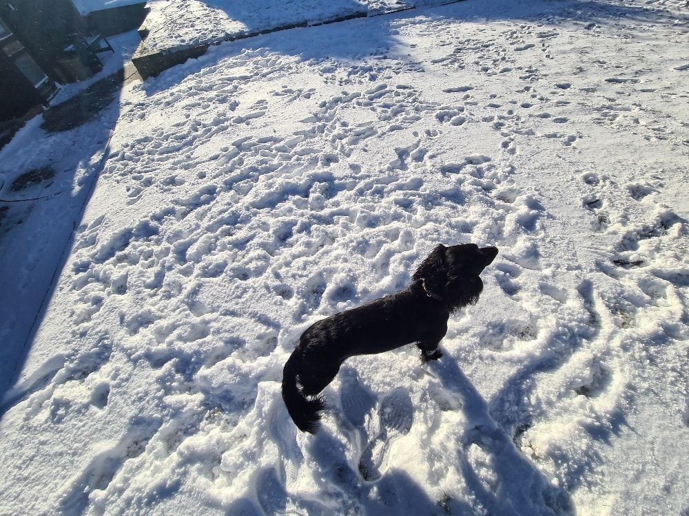 image-9