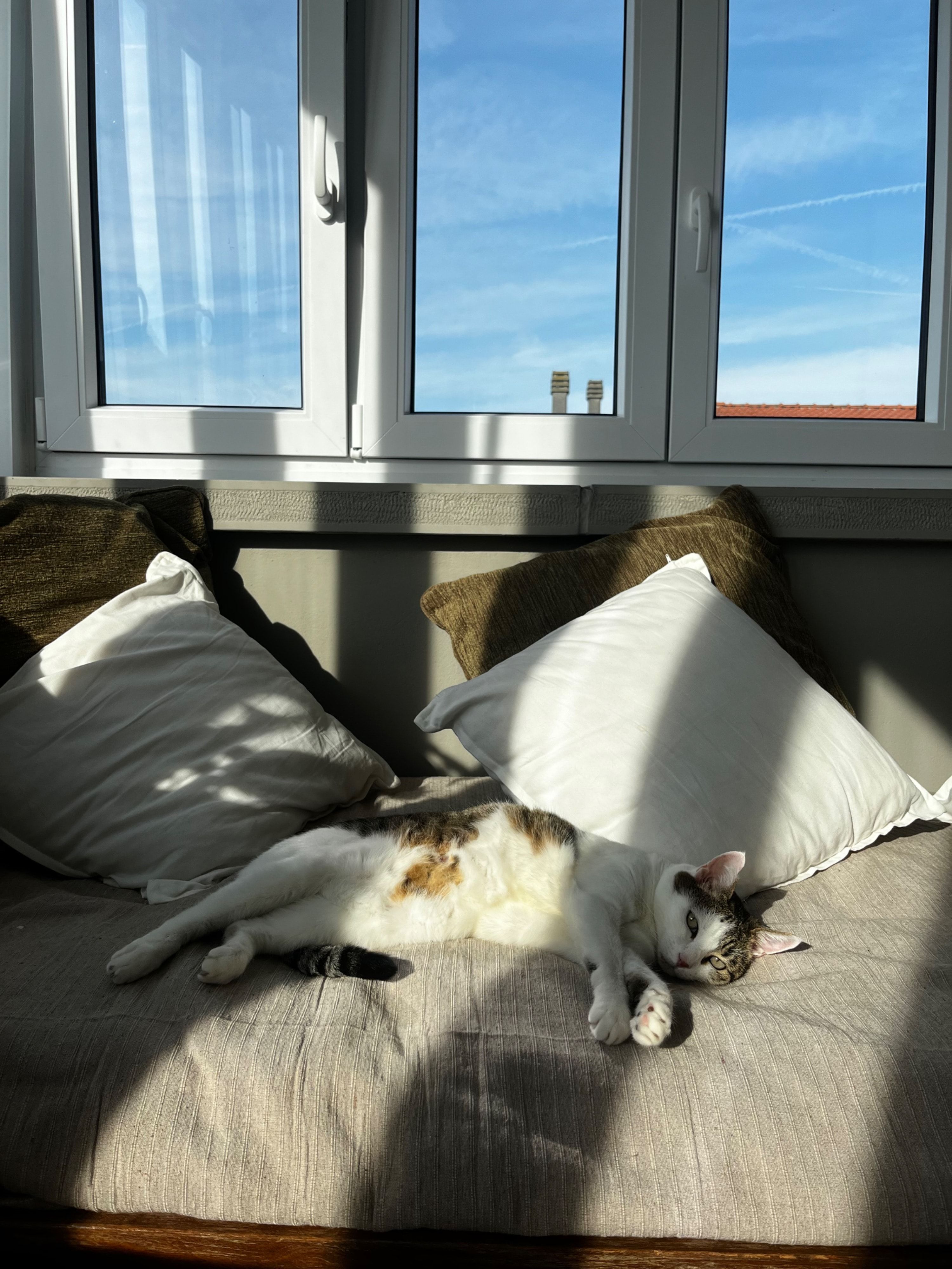 image-6