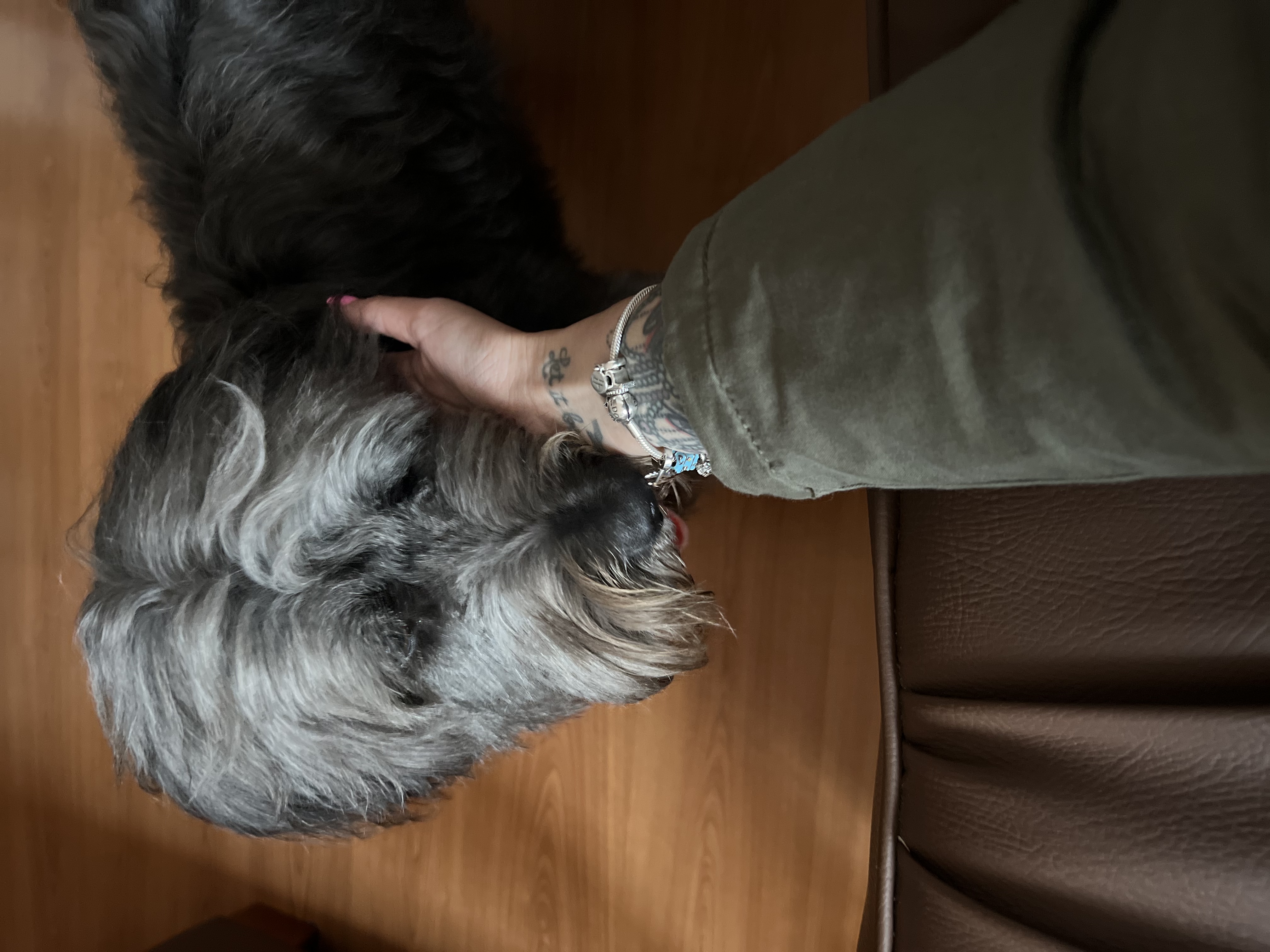 image-7