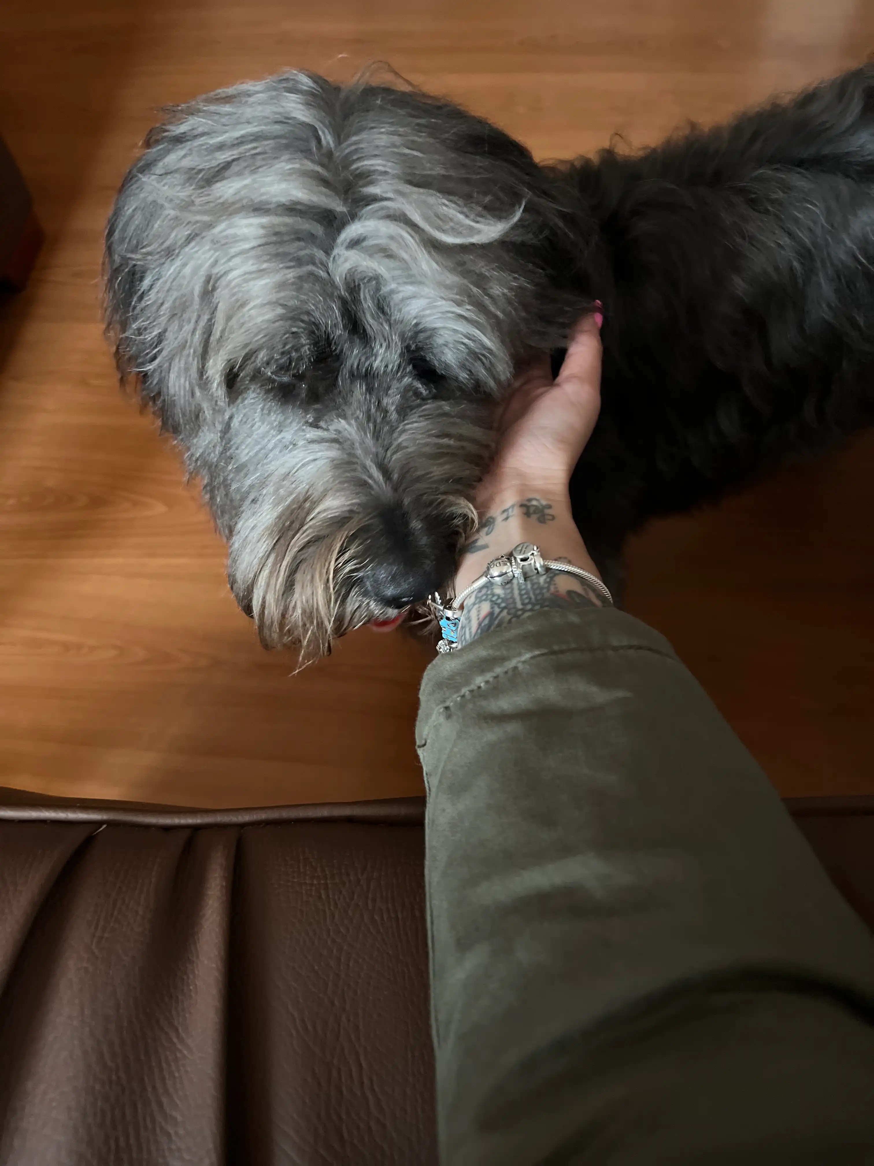 image-7