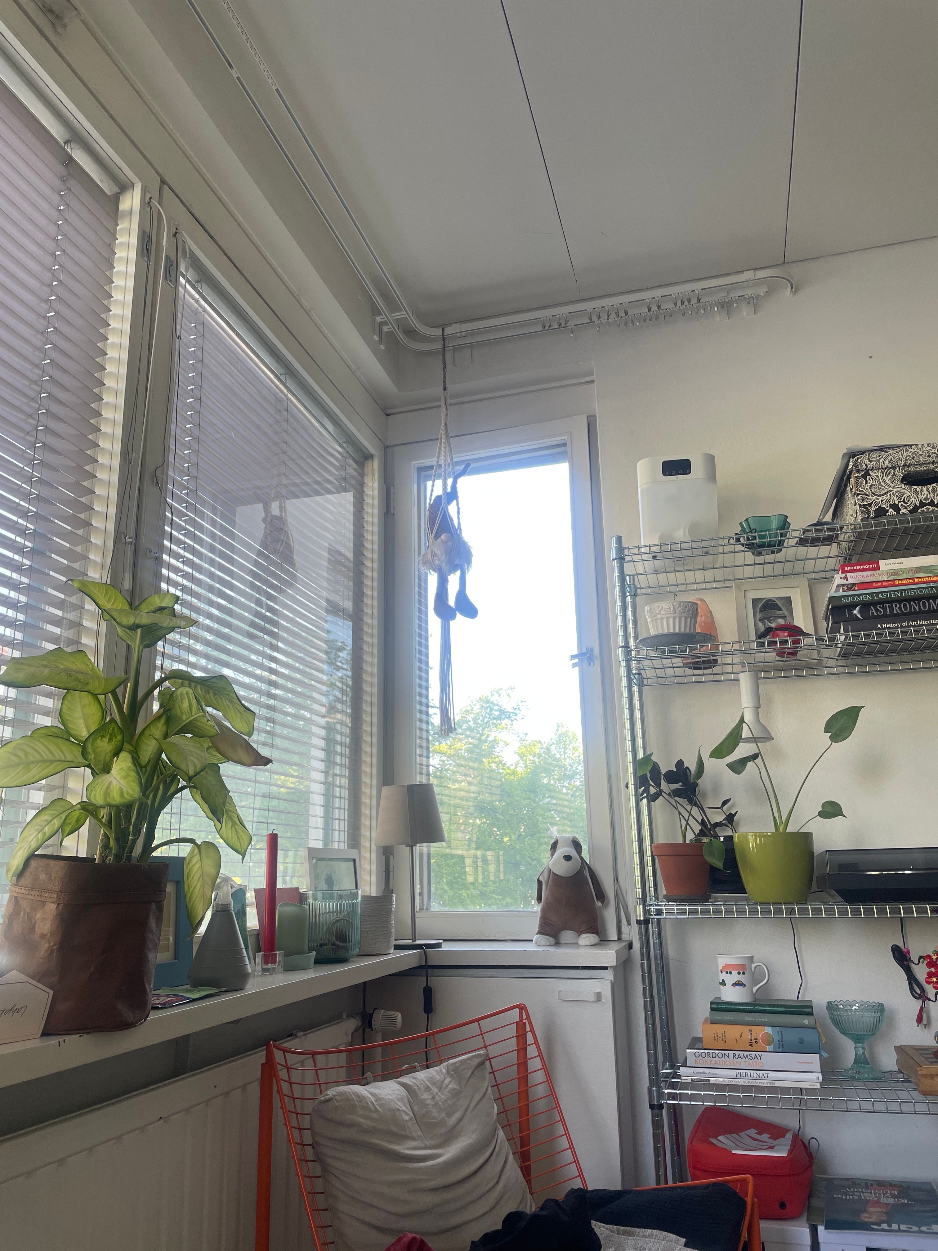 image-6