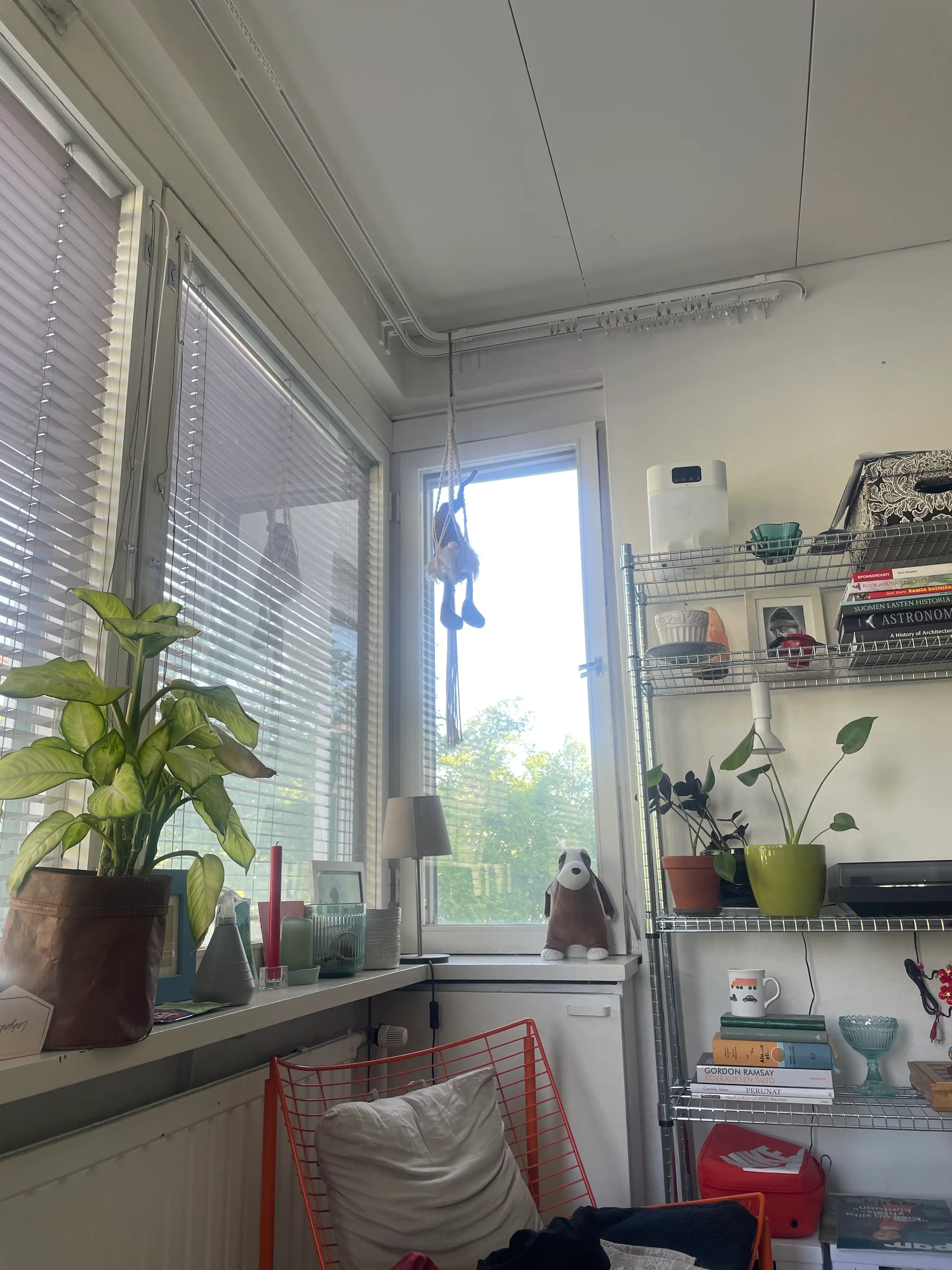 image-6