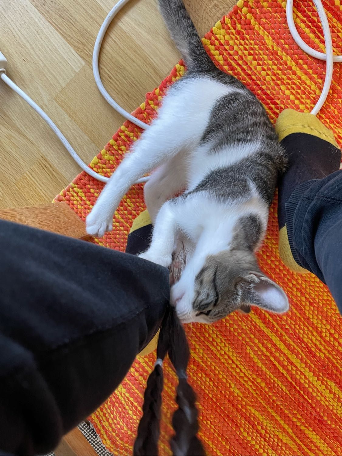 image-7