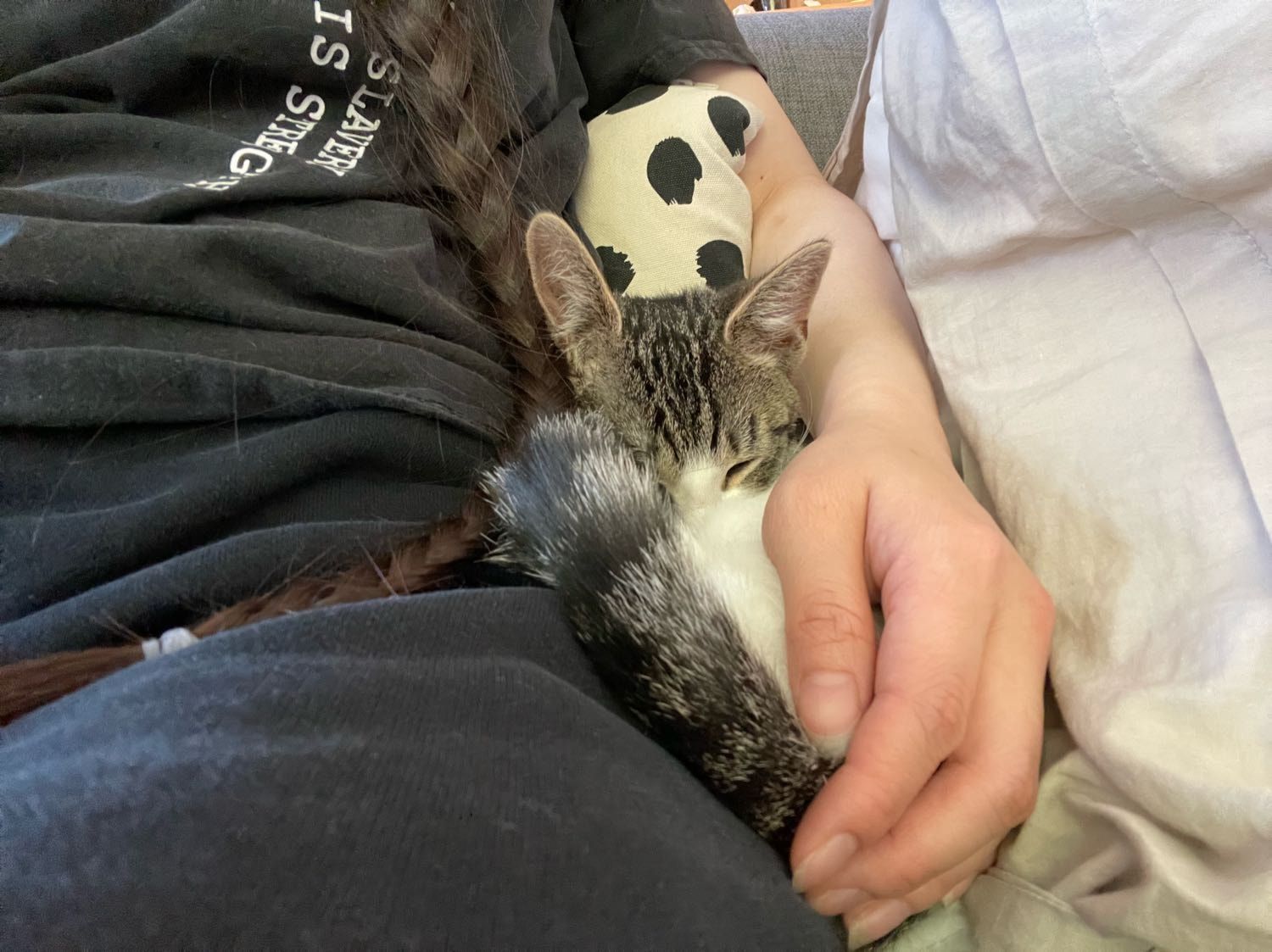 image-8