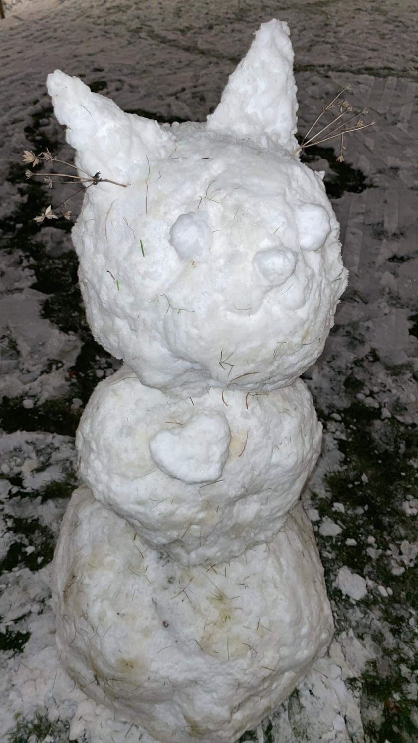 image-4