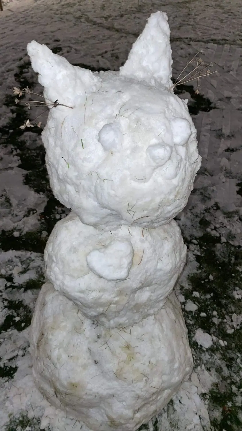 image-4