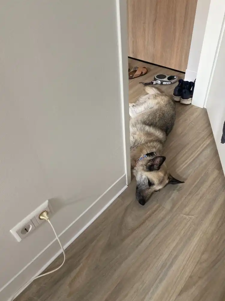 image-9