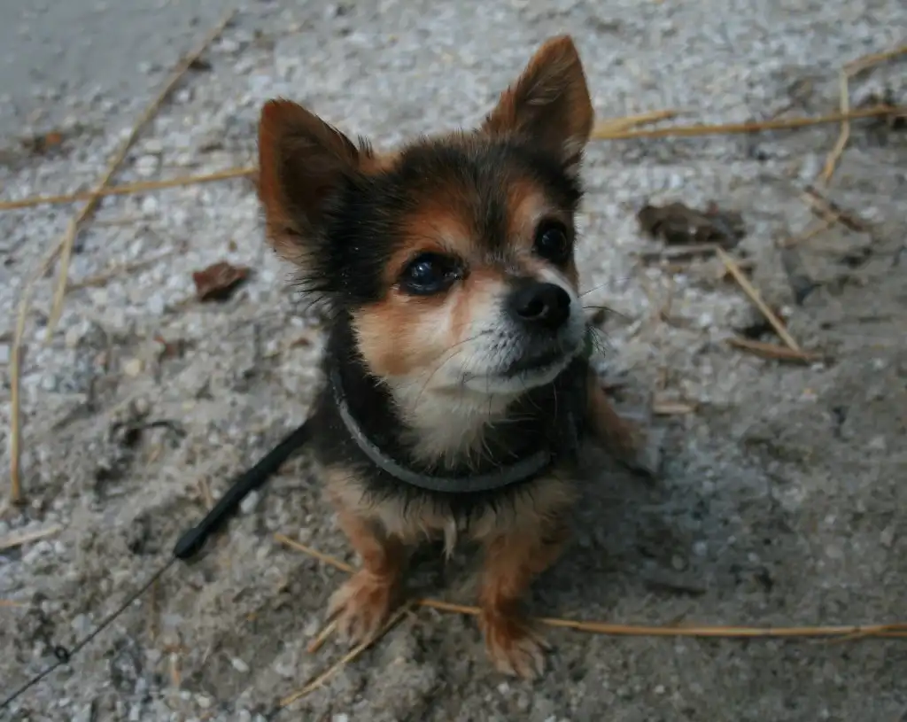 image-5