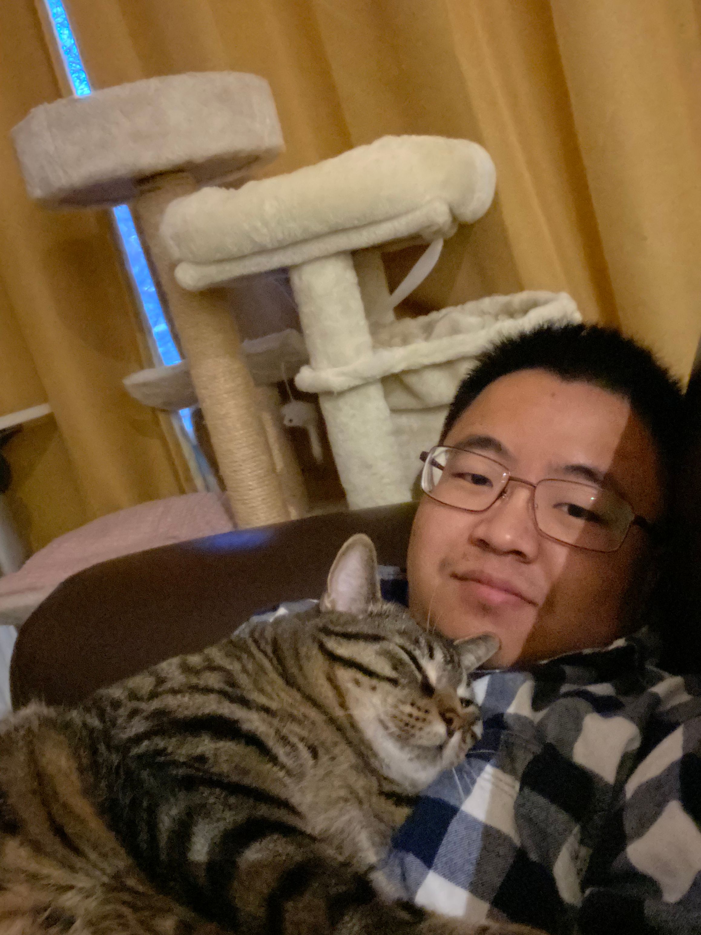 image-4