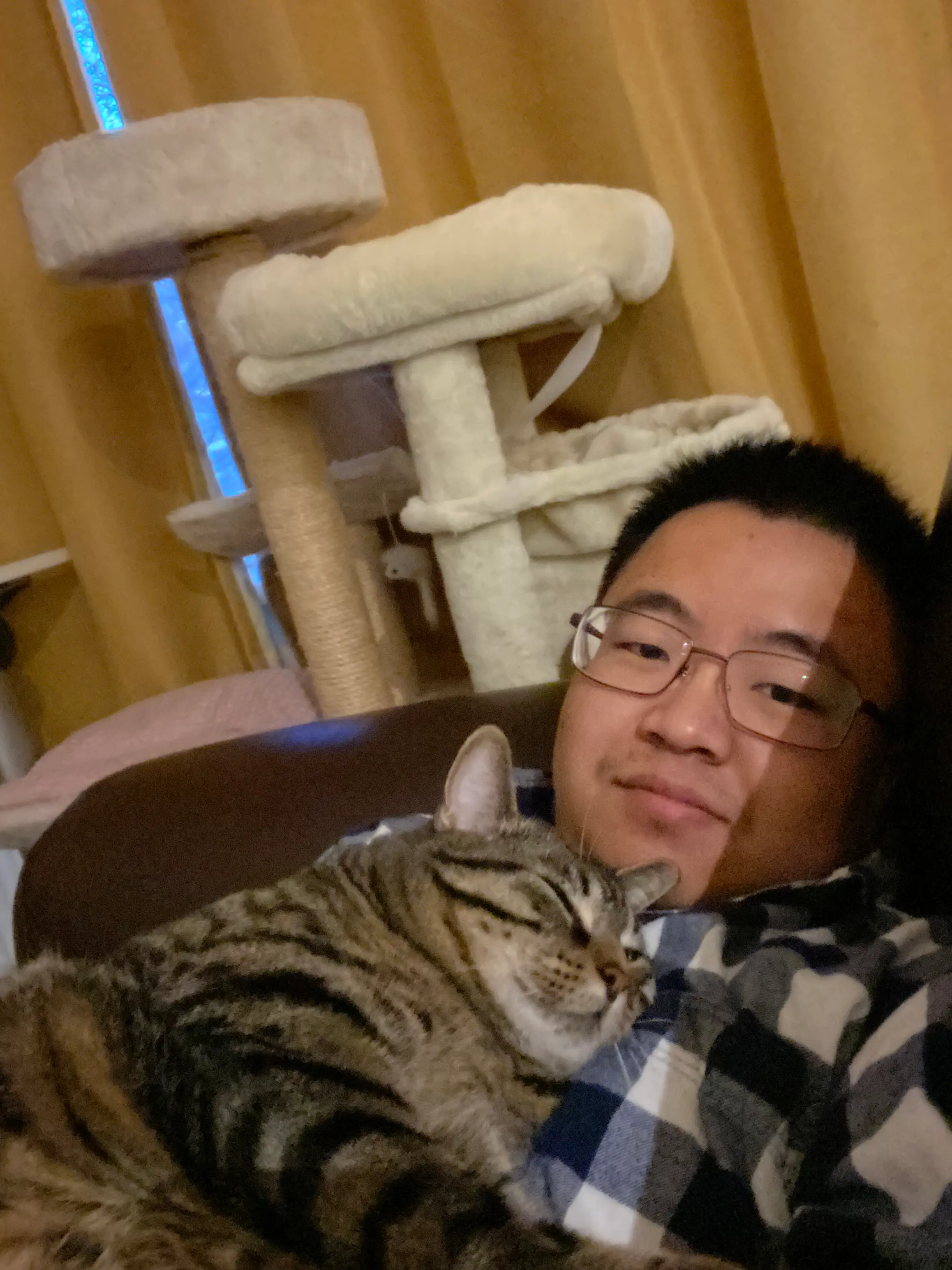 image-4