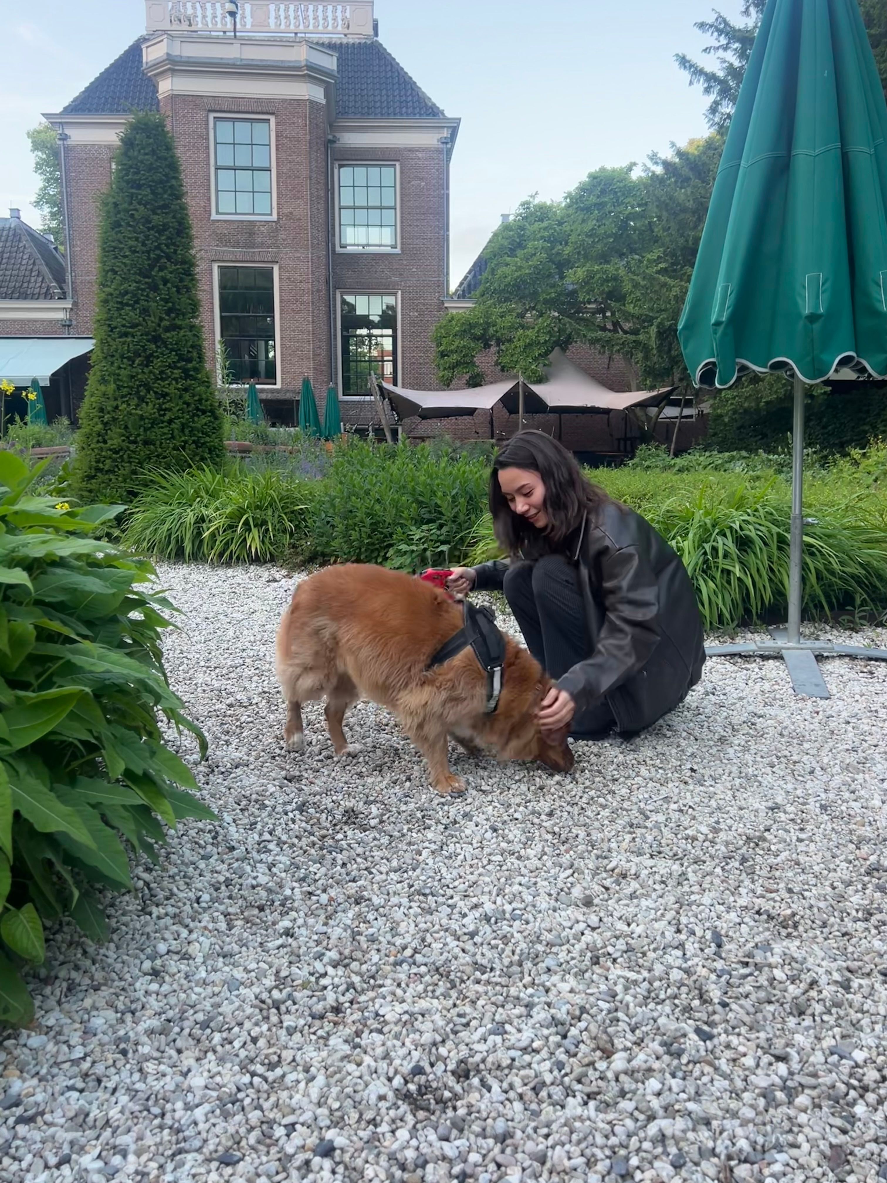 image-8