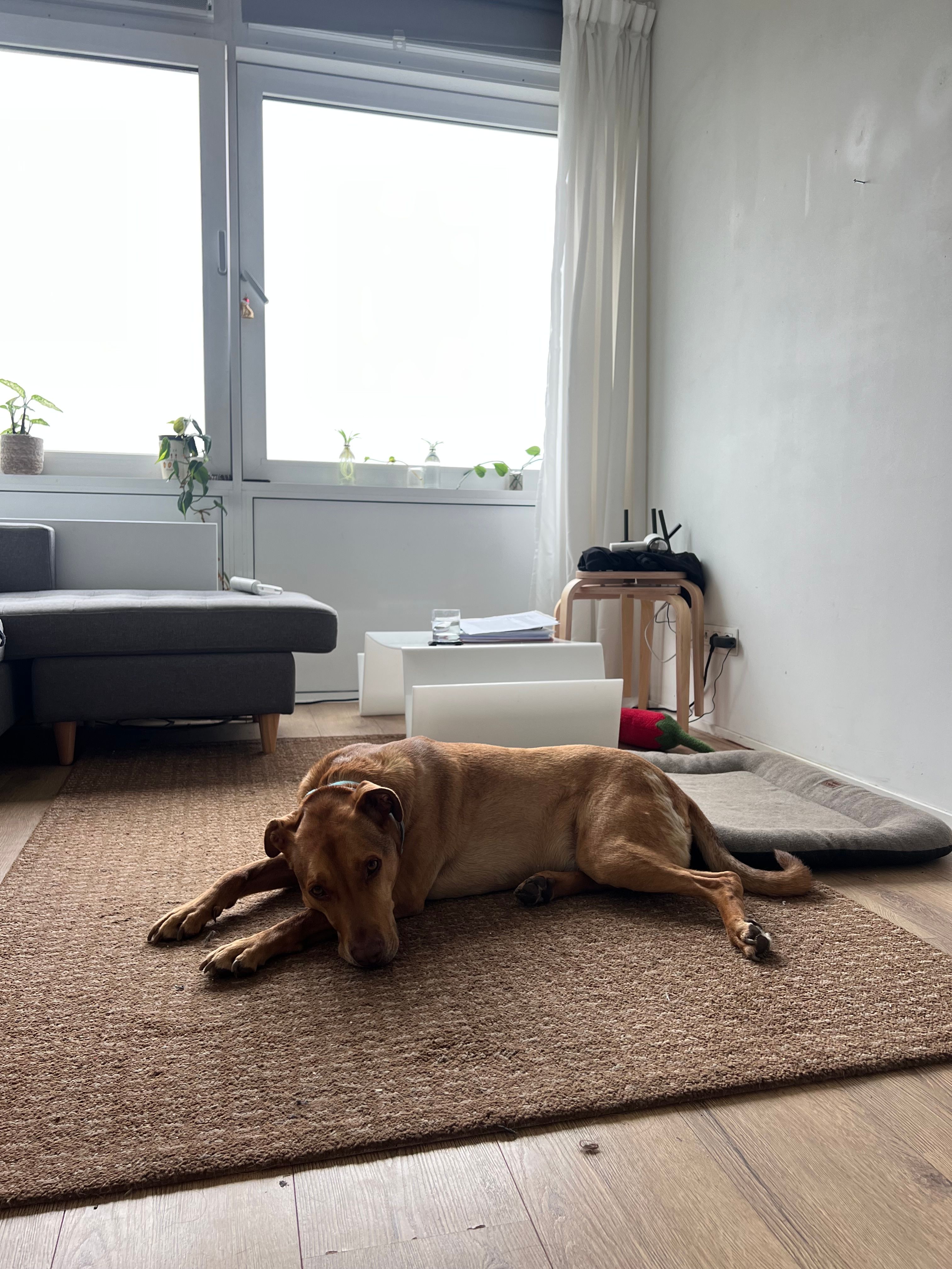 image-17
