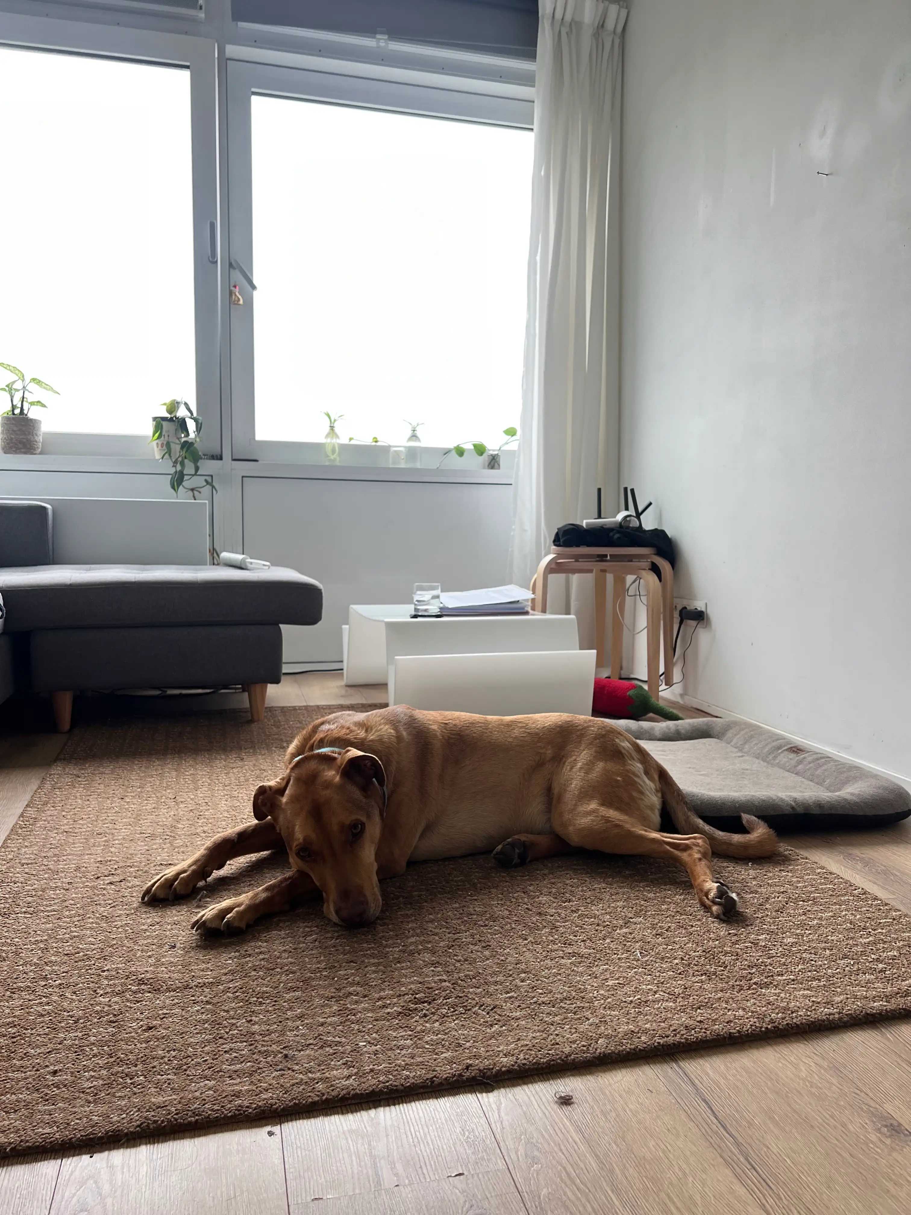 image-17