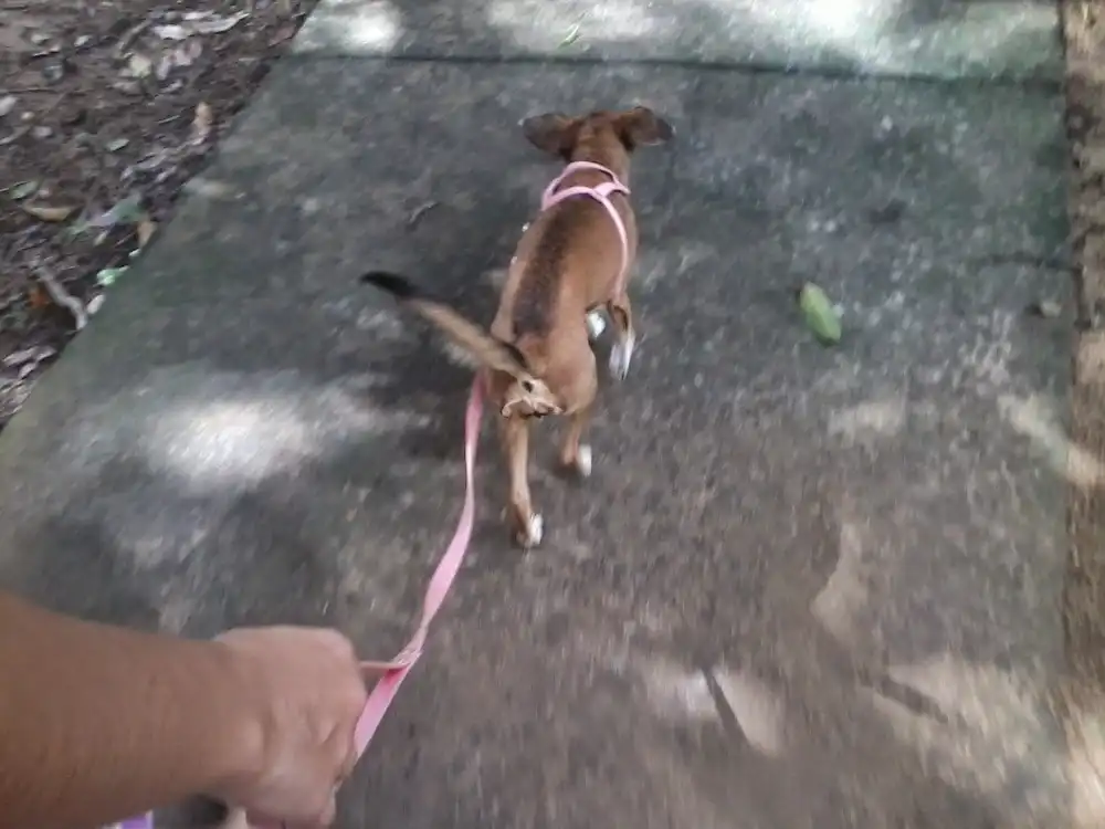 image-5