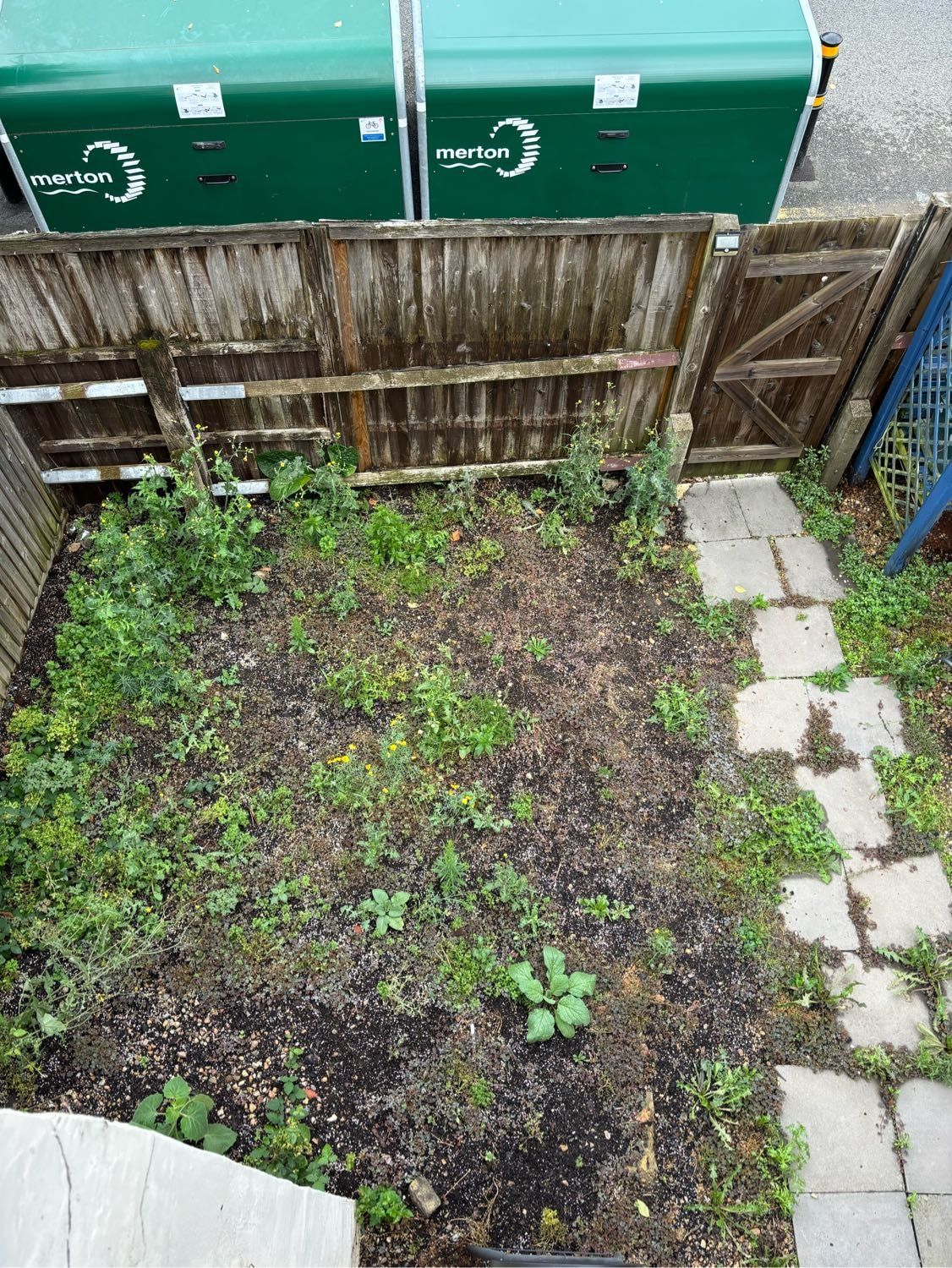 image-4