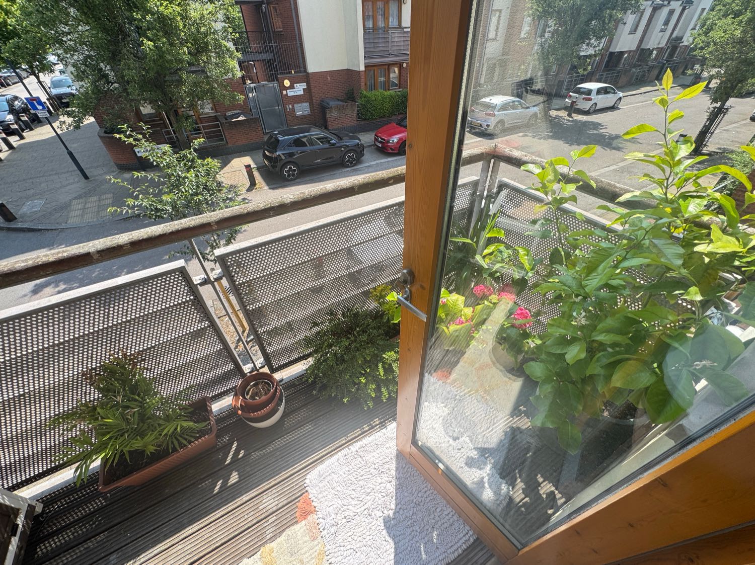 image-8