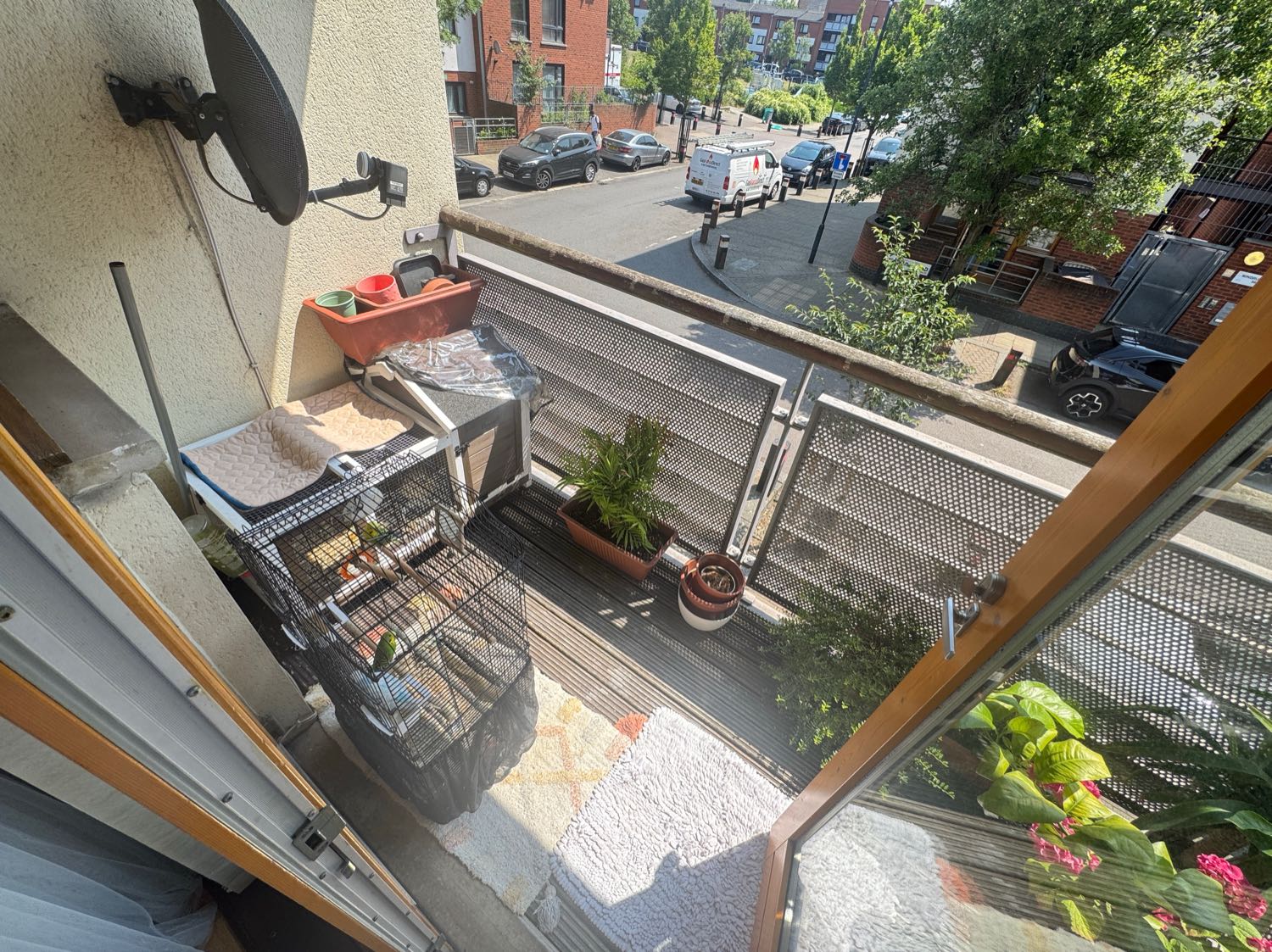 image-9