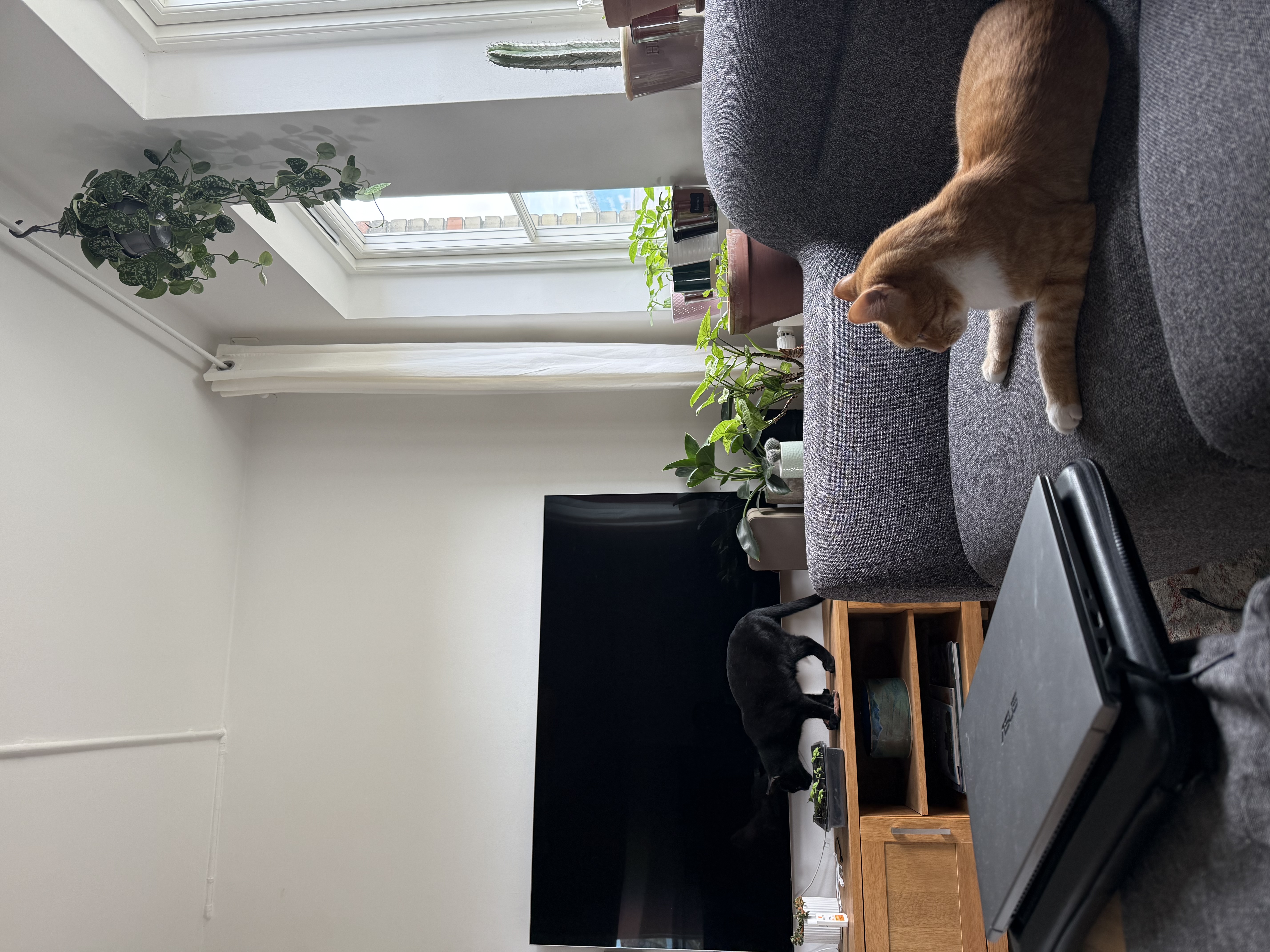 image-16