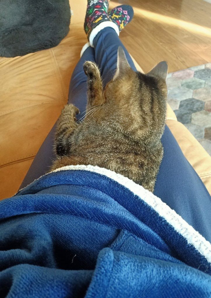 image-7