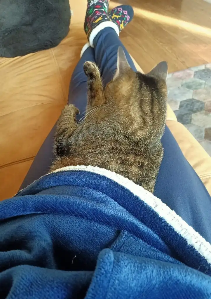 image-7