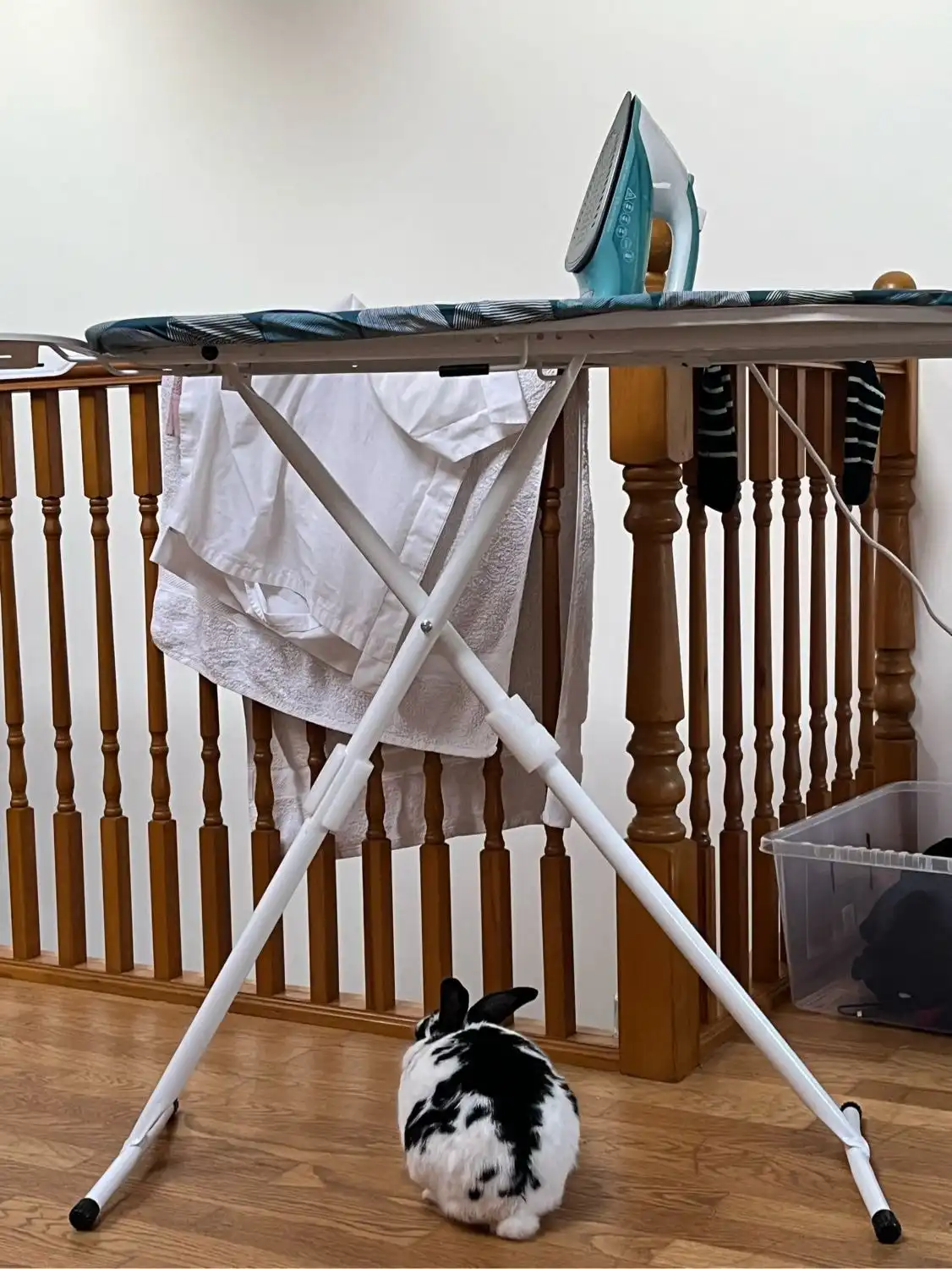 image-8