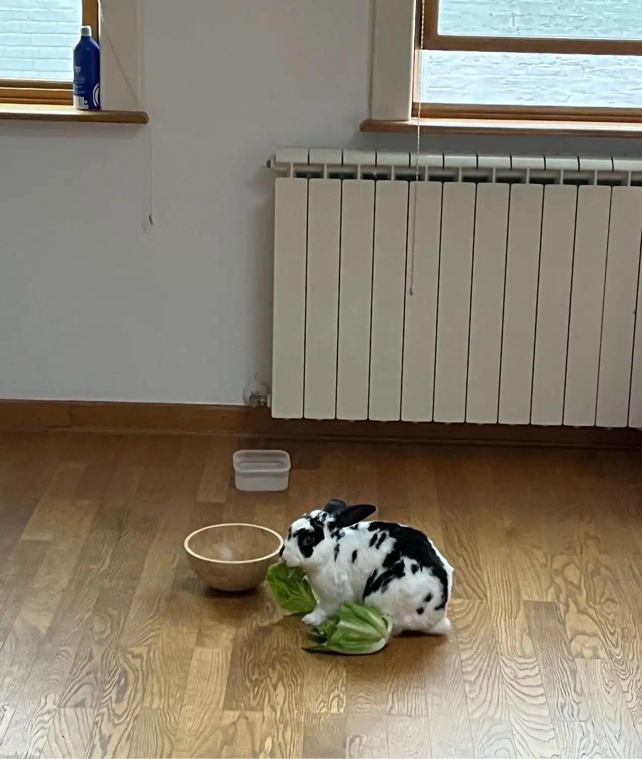 image-9