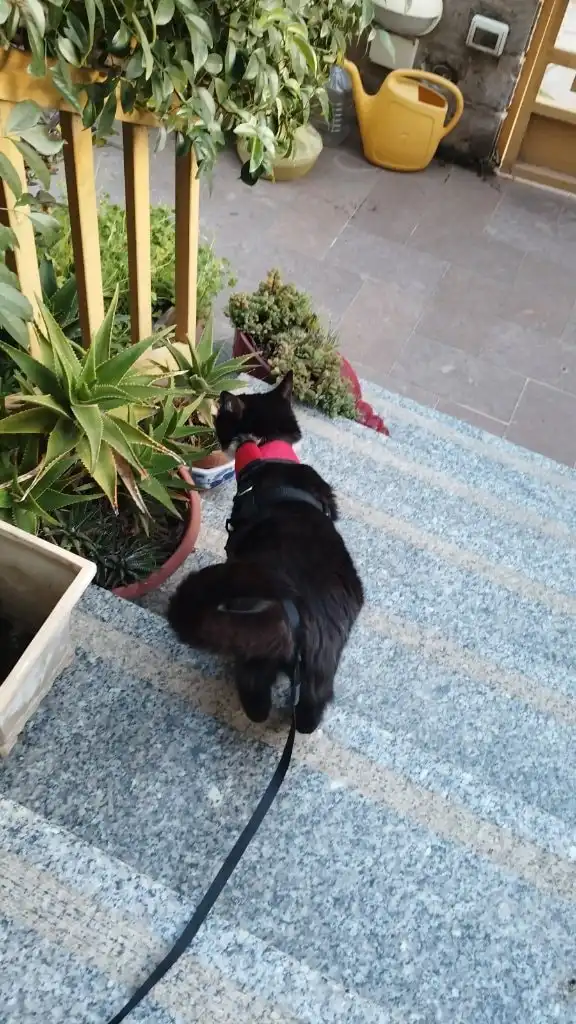 image-6