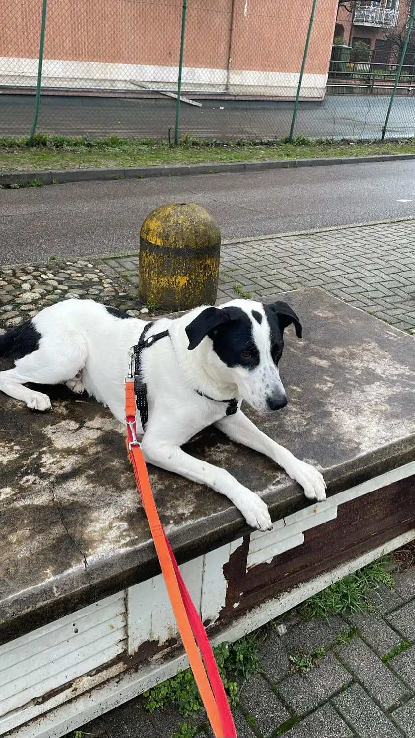 image-6