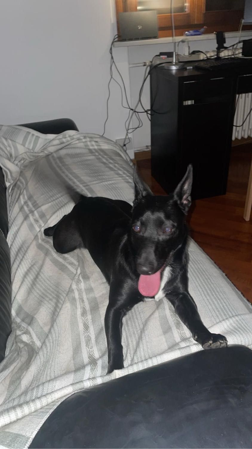 image-5