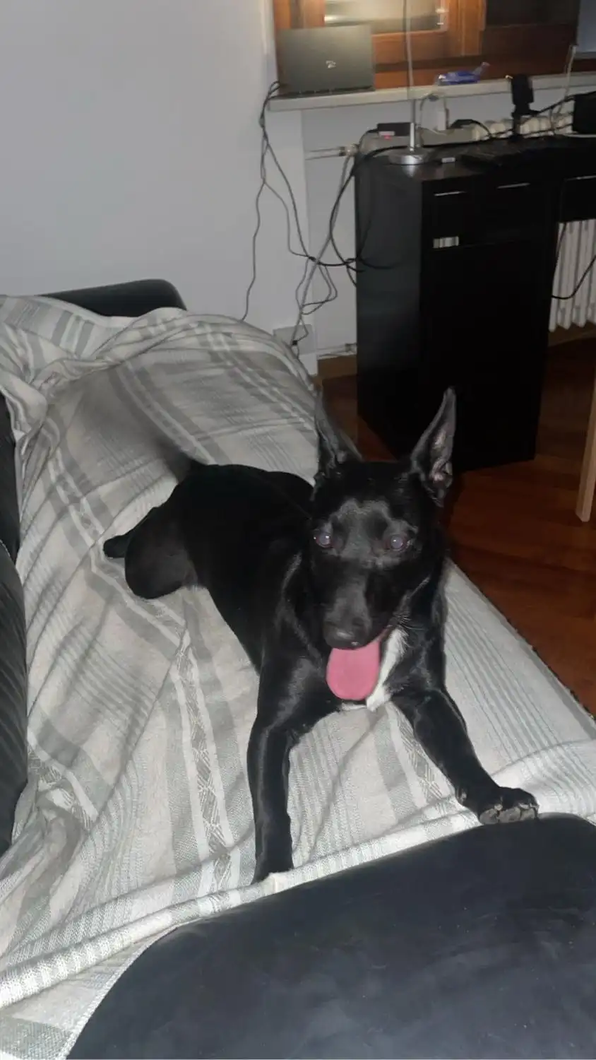 image-5
