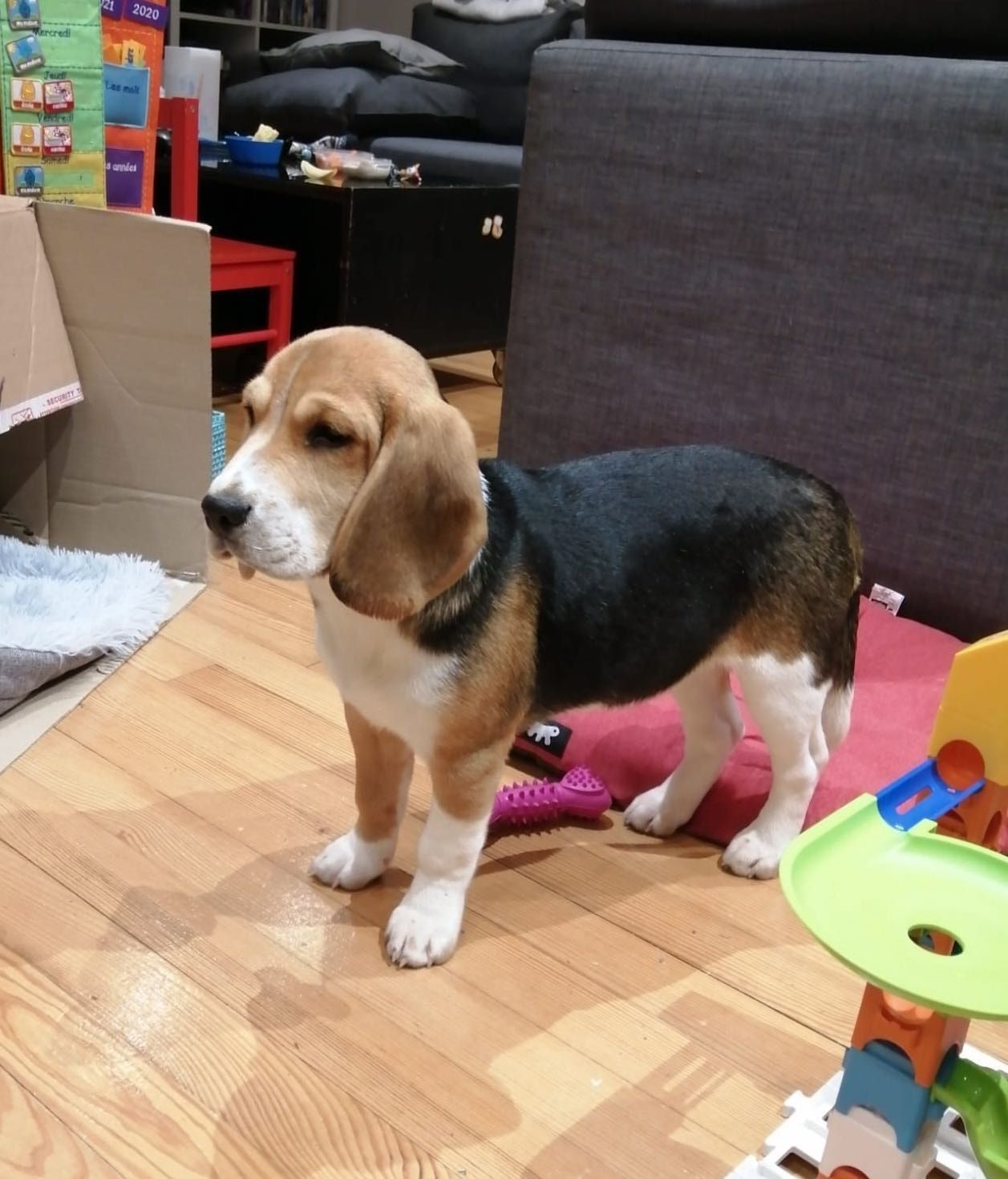 image-8