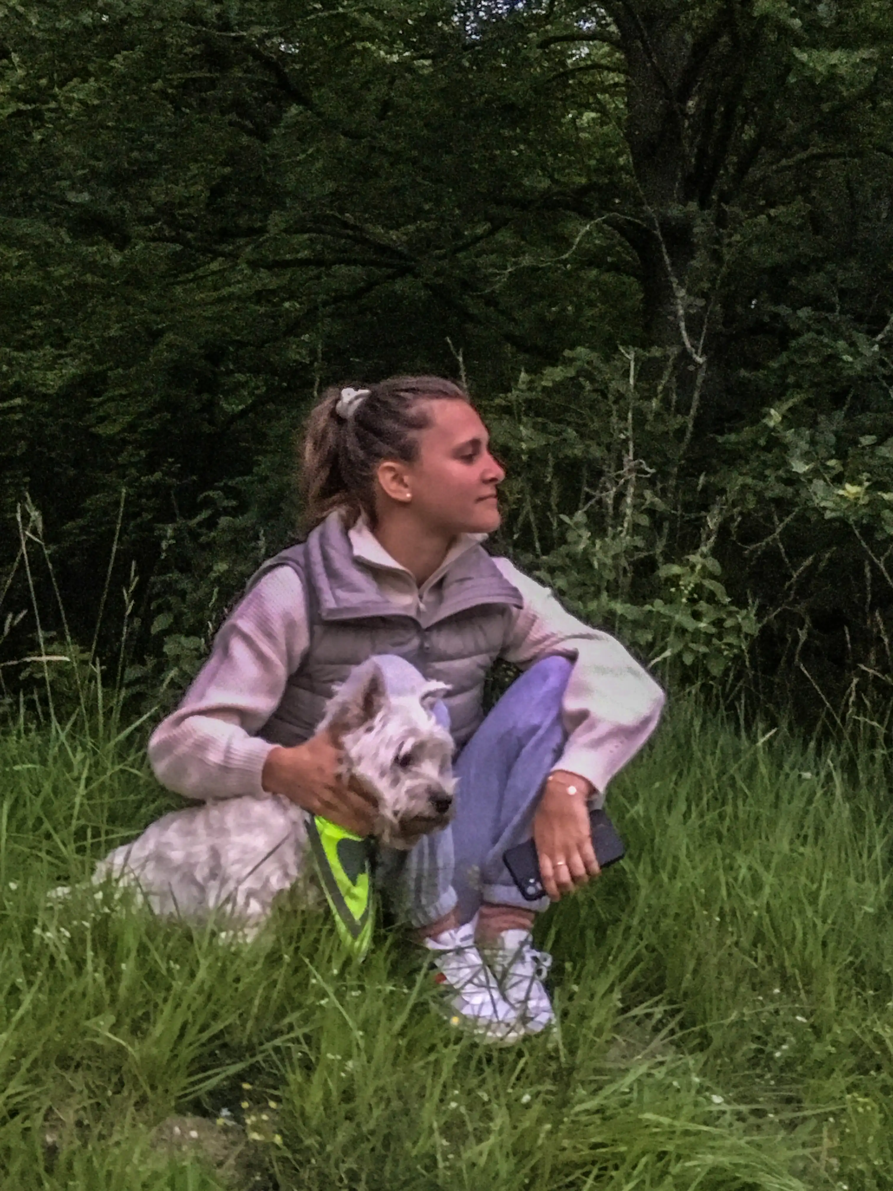 image-6