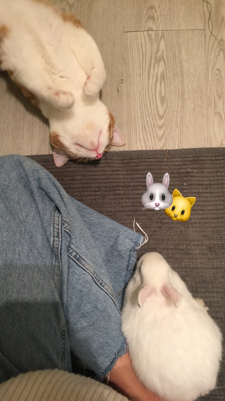 image-4