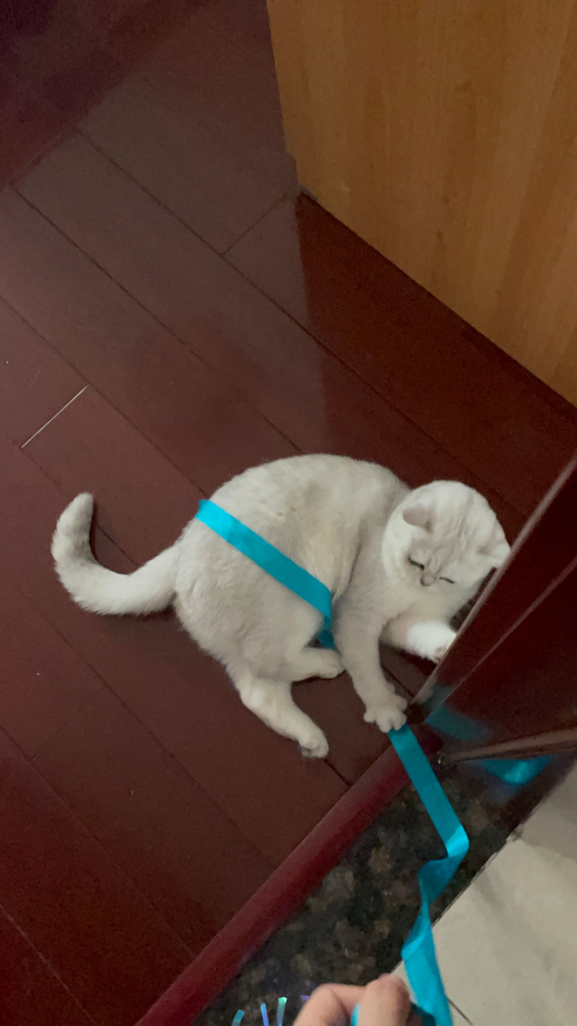 image-6