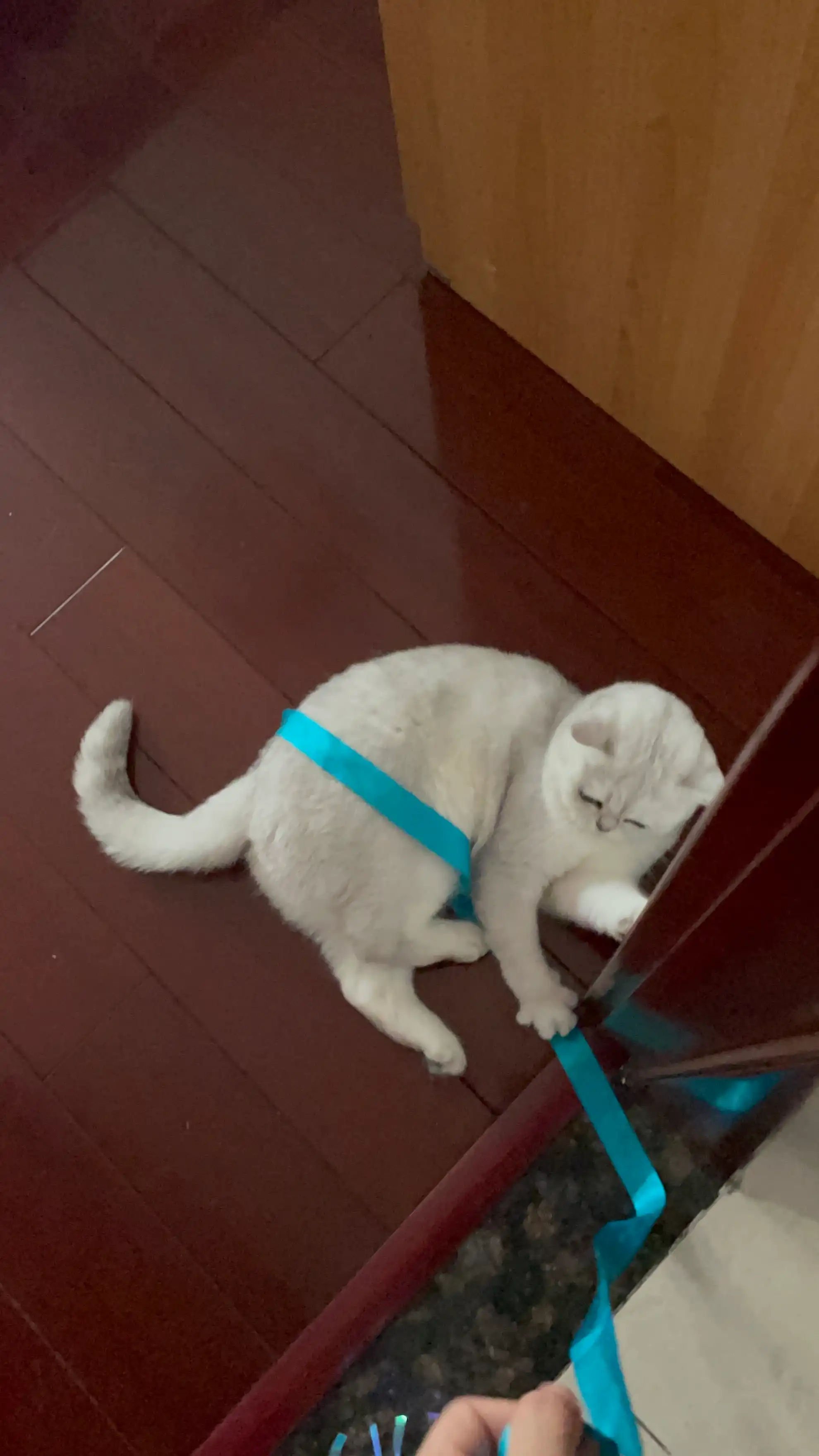 image-6