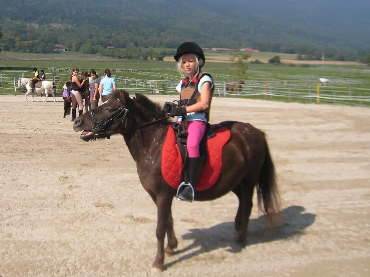 image-7