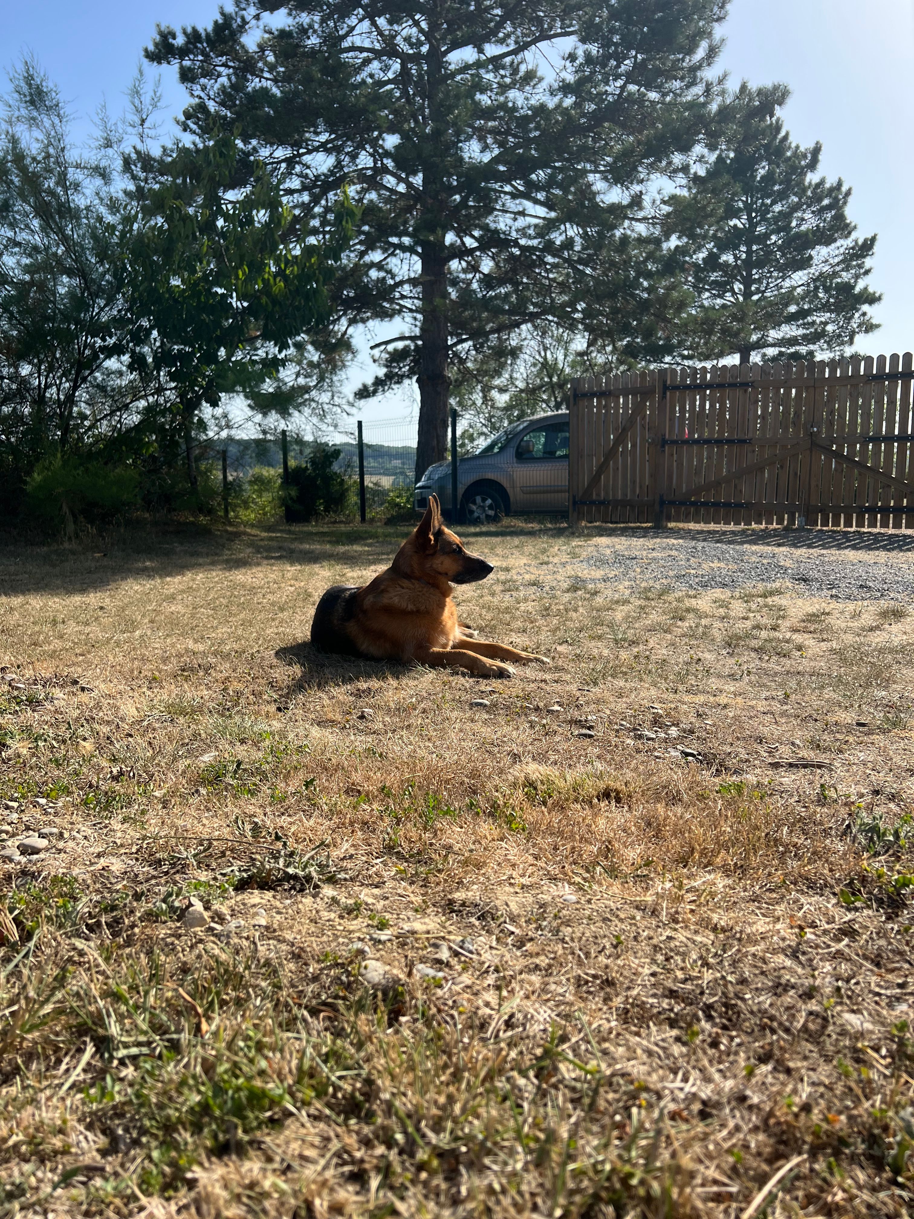 image-14