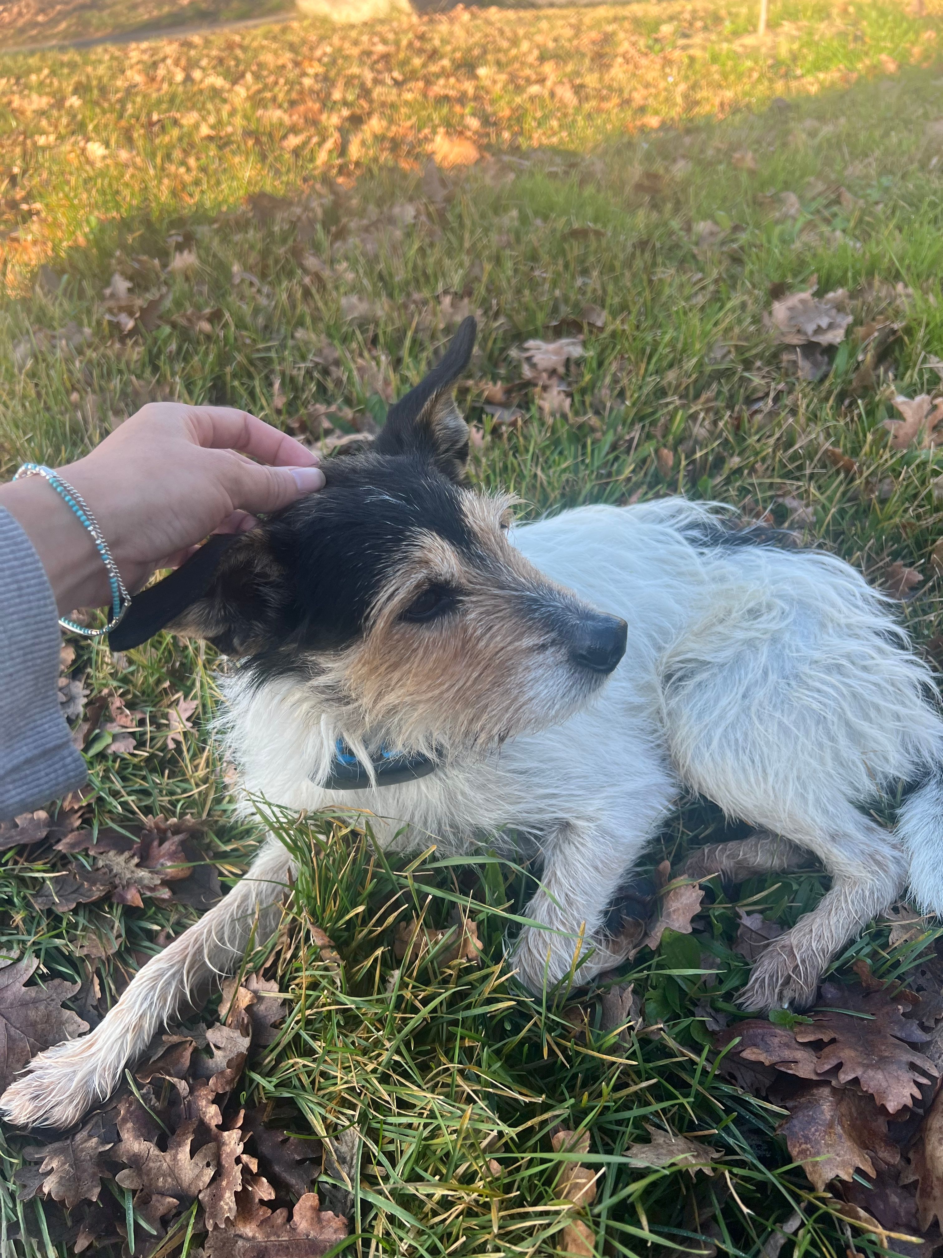 image-9