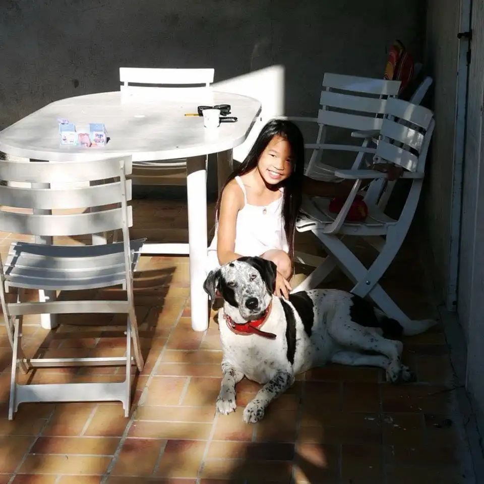 image-5