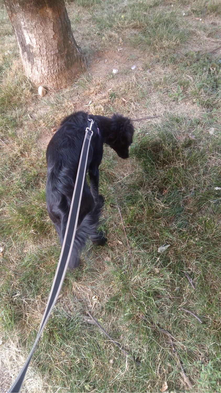 image-9