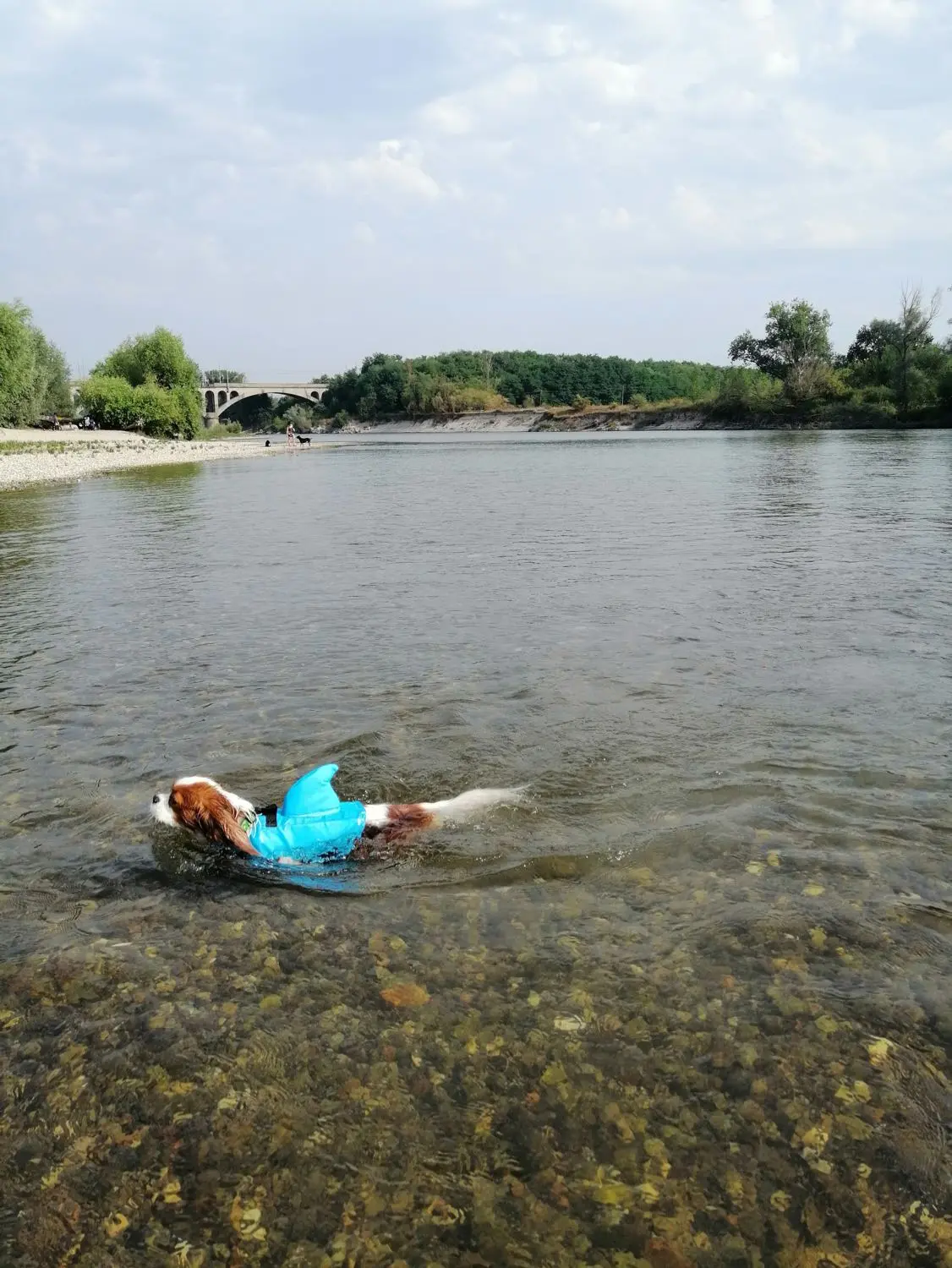 image-4