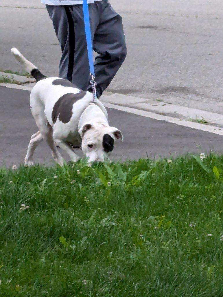 image-40
