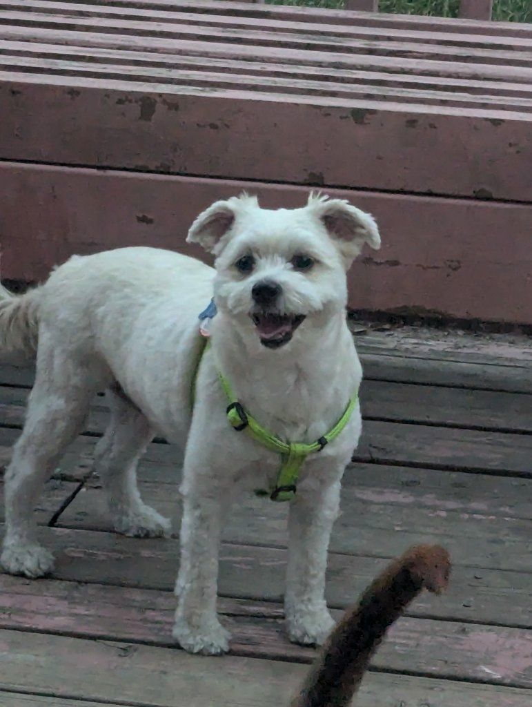 image-56