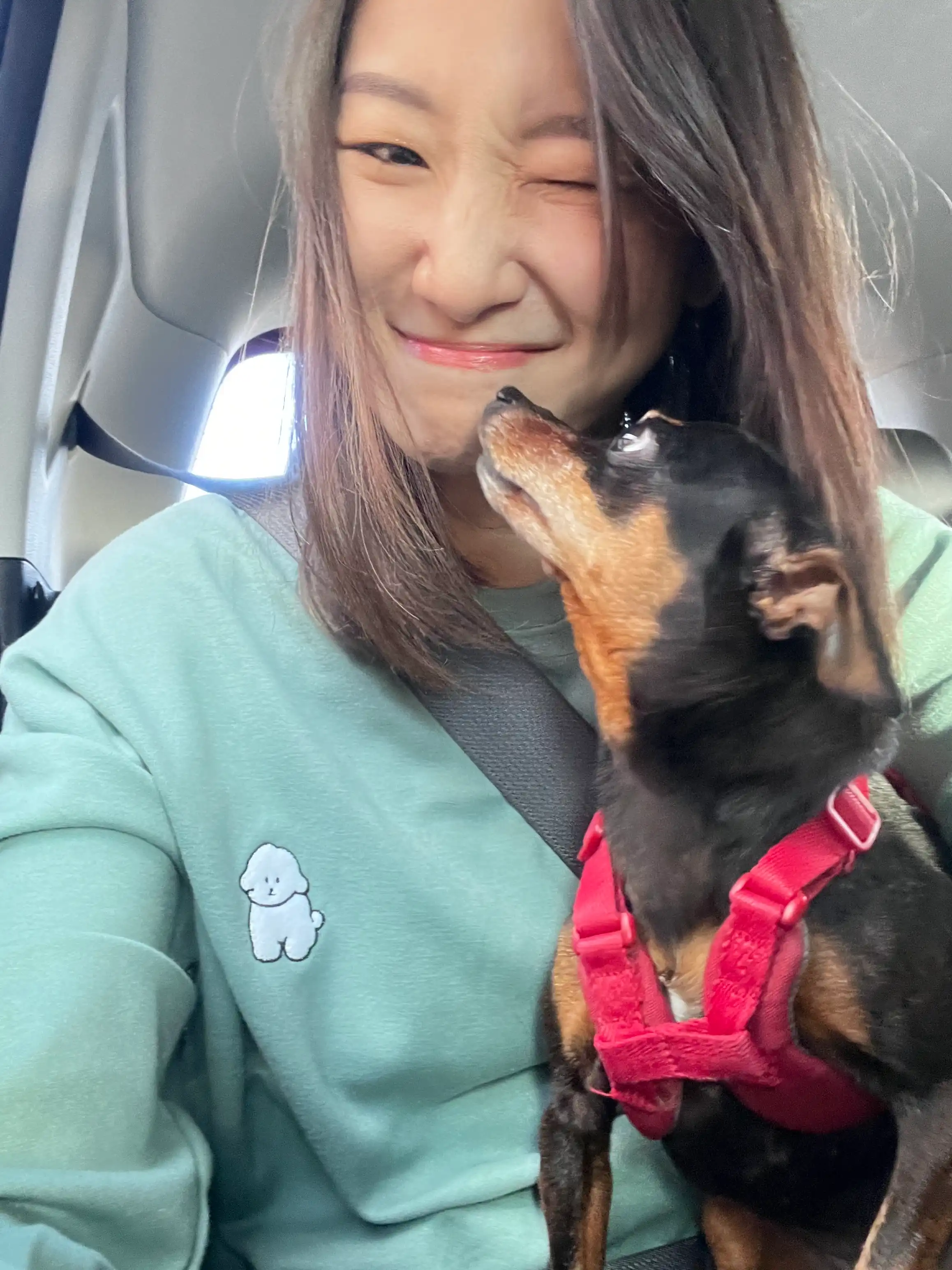 image-6