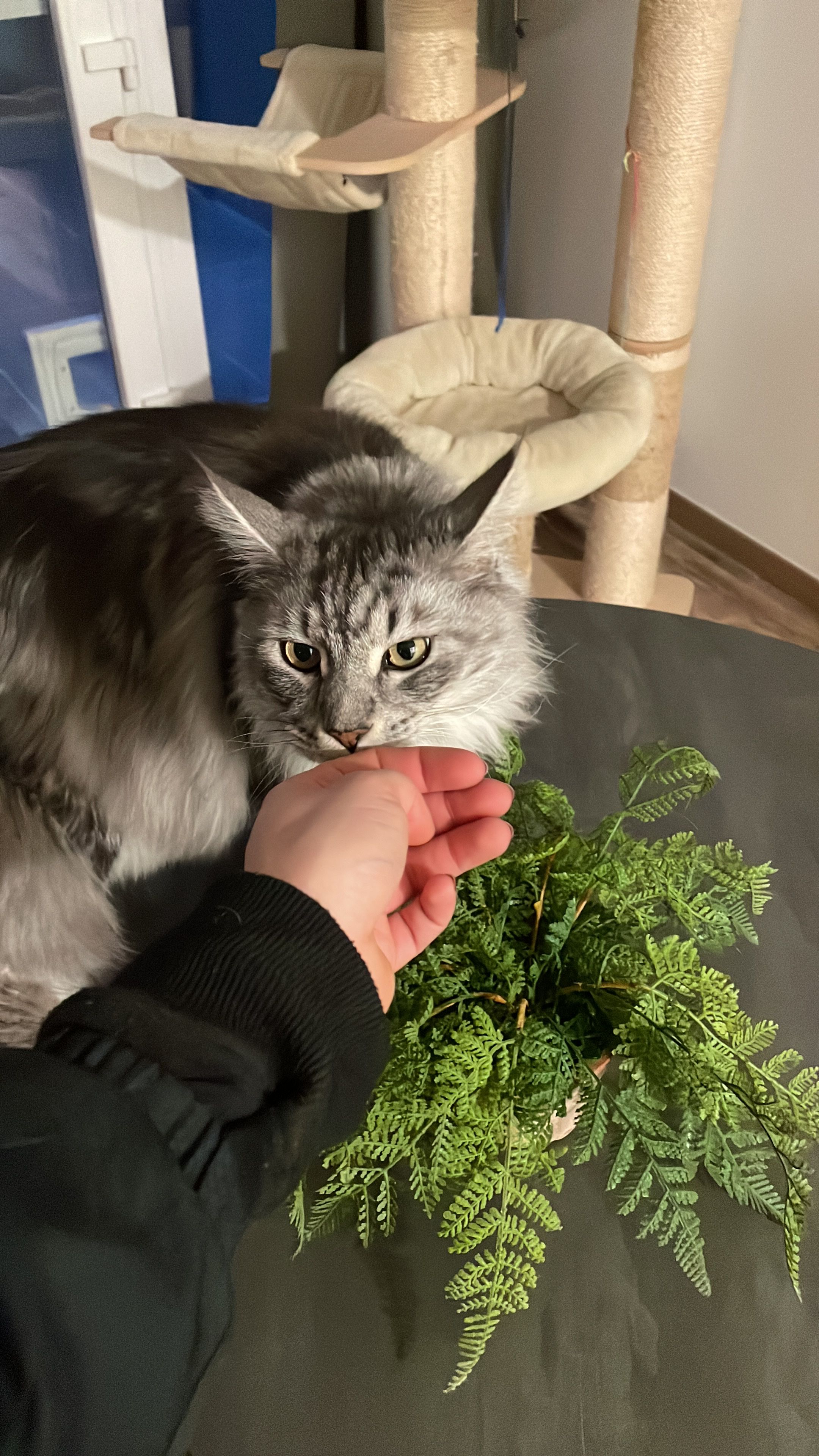 image-8