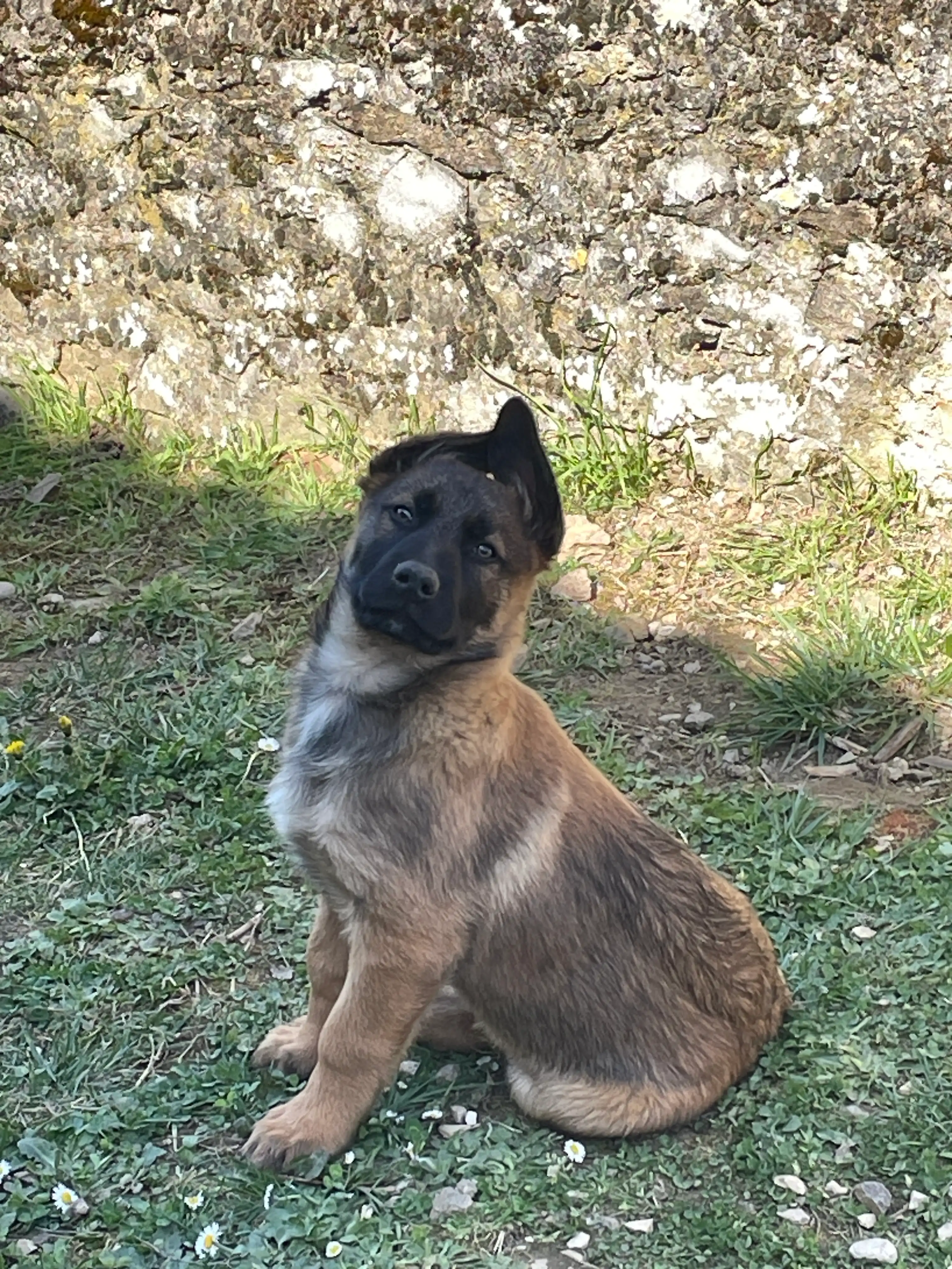 image-6