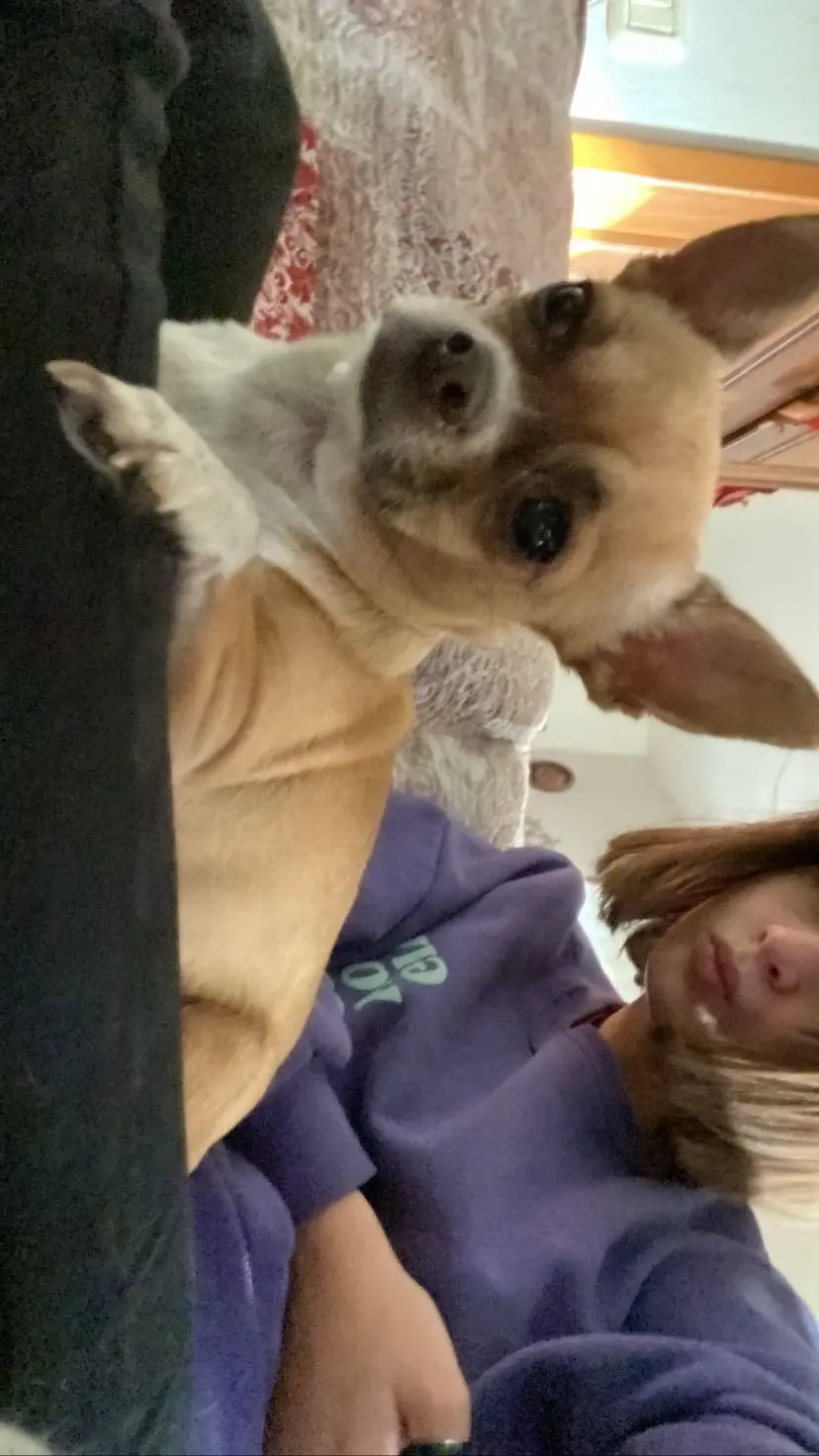 image-4