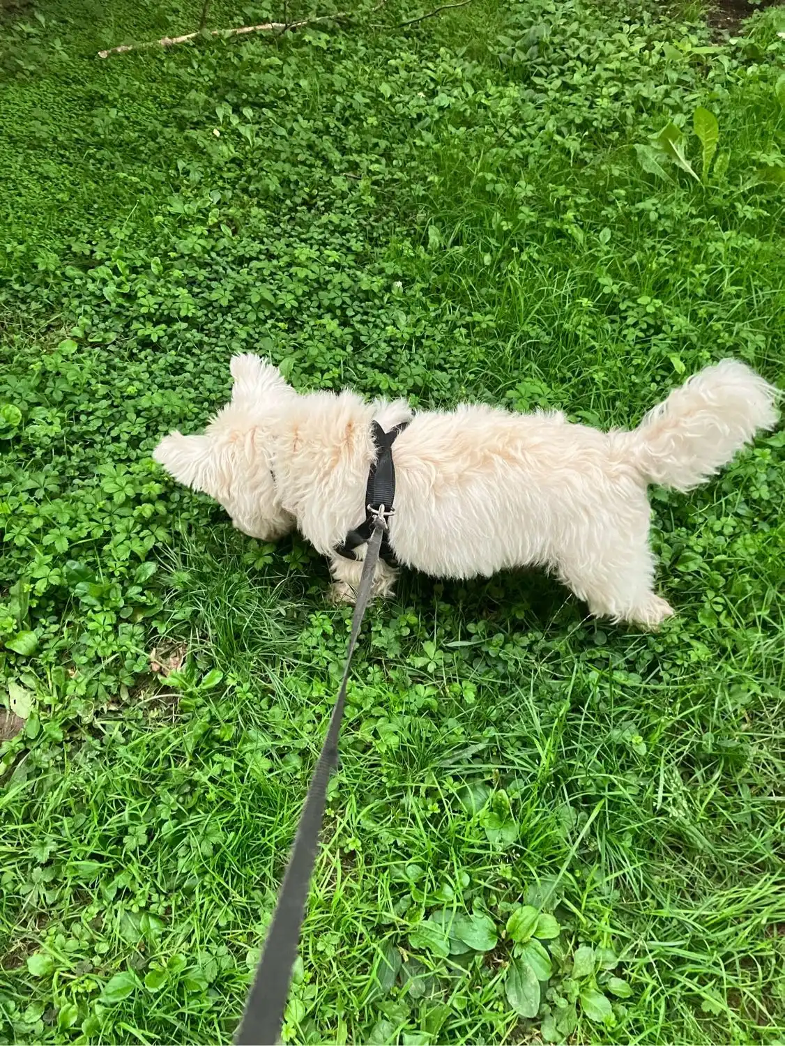 image-28