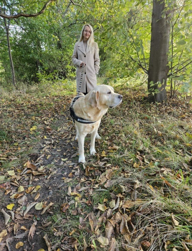 image-47