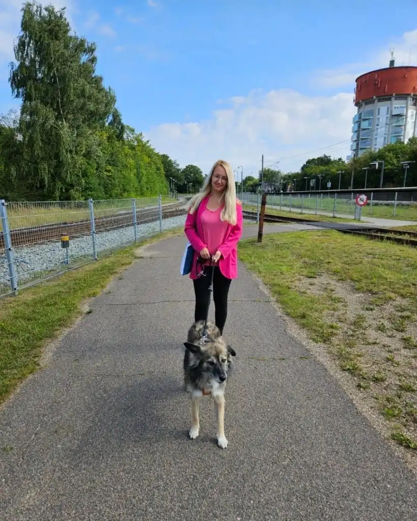 image-27